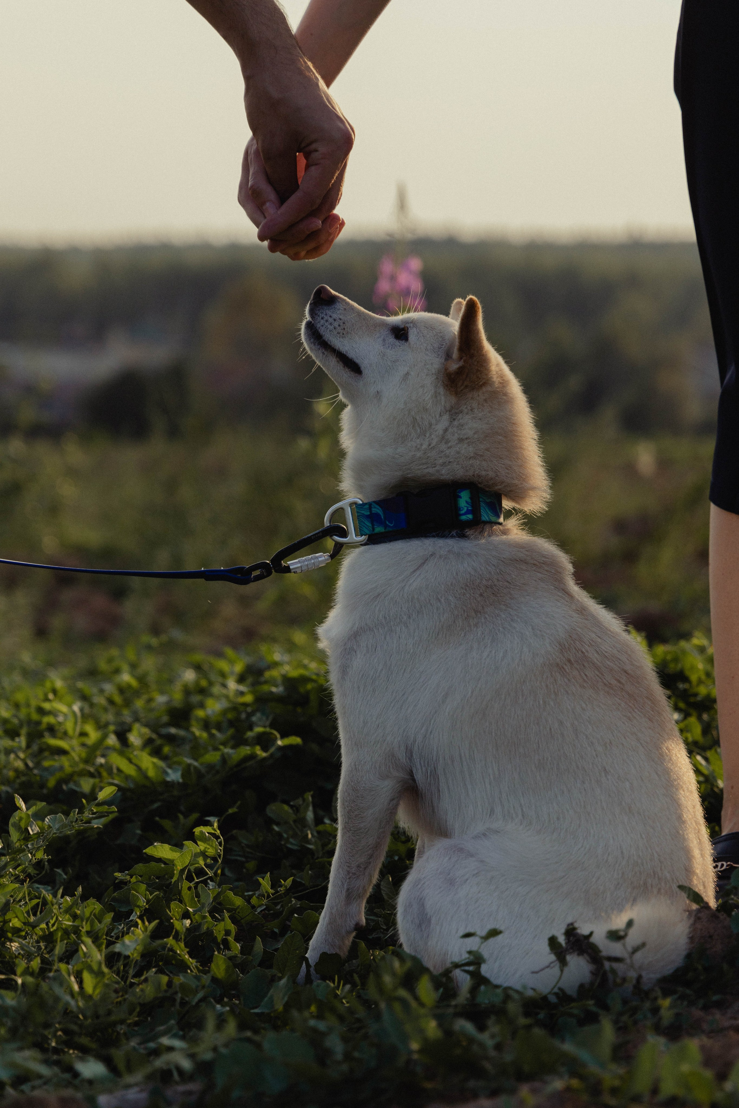 Love-story. Фотограф Мария Андреева Москва