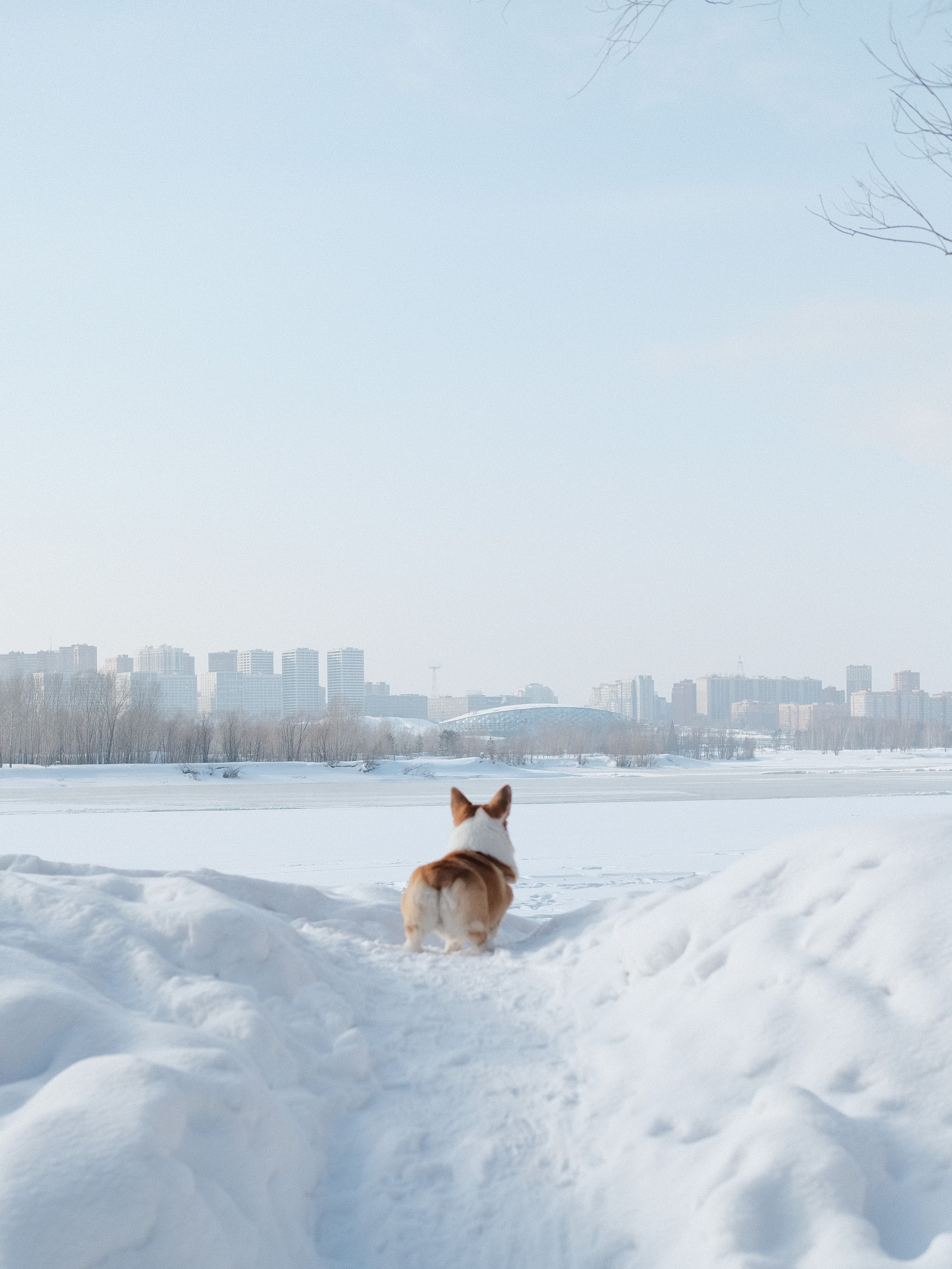 Наблюдения. Семейный фотограф в Новосибирске Артём Кузнецов