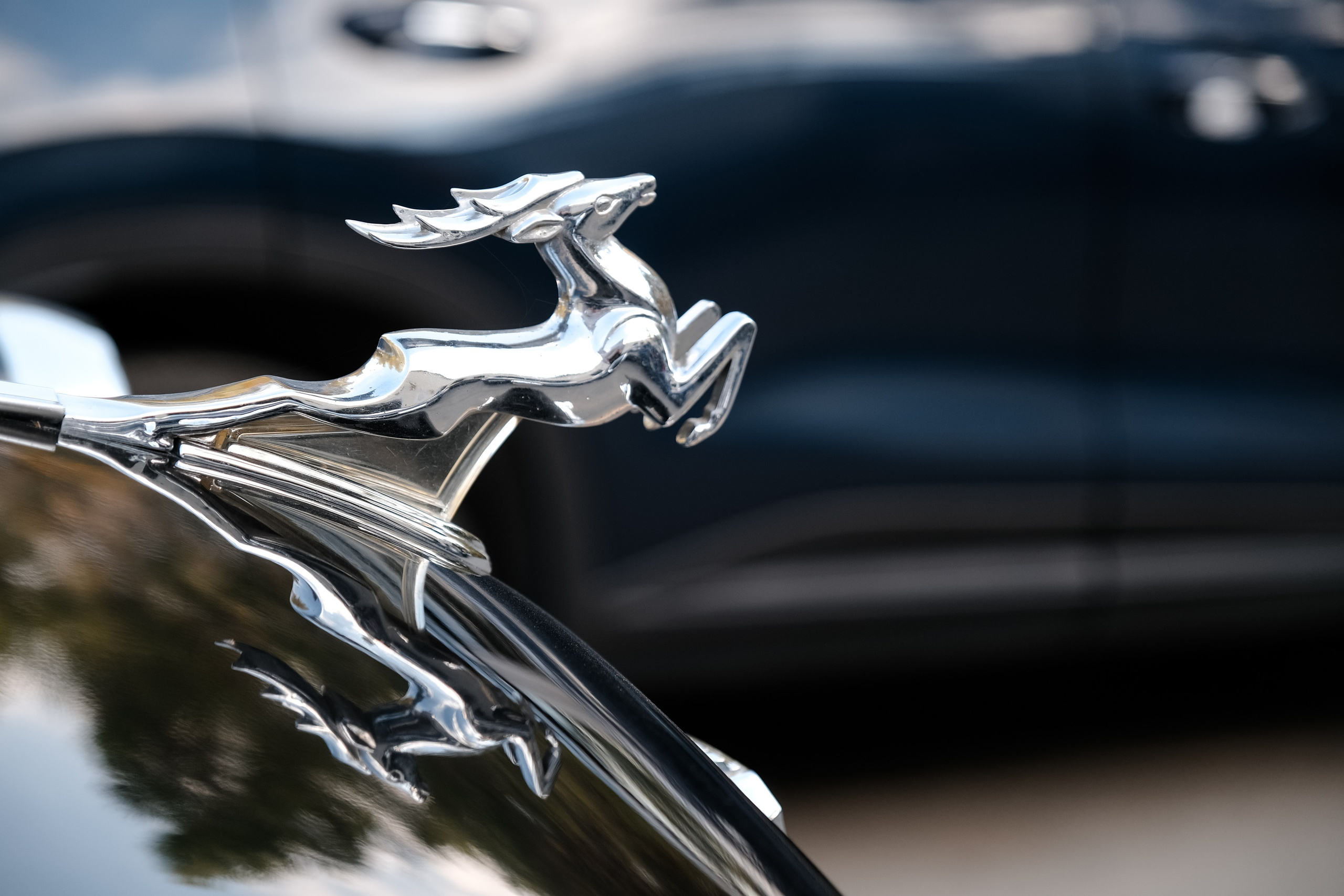 Свадьба_Азата и Дарьи. Свадебный фотограф в Челябинске Сырчикова Наталья