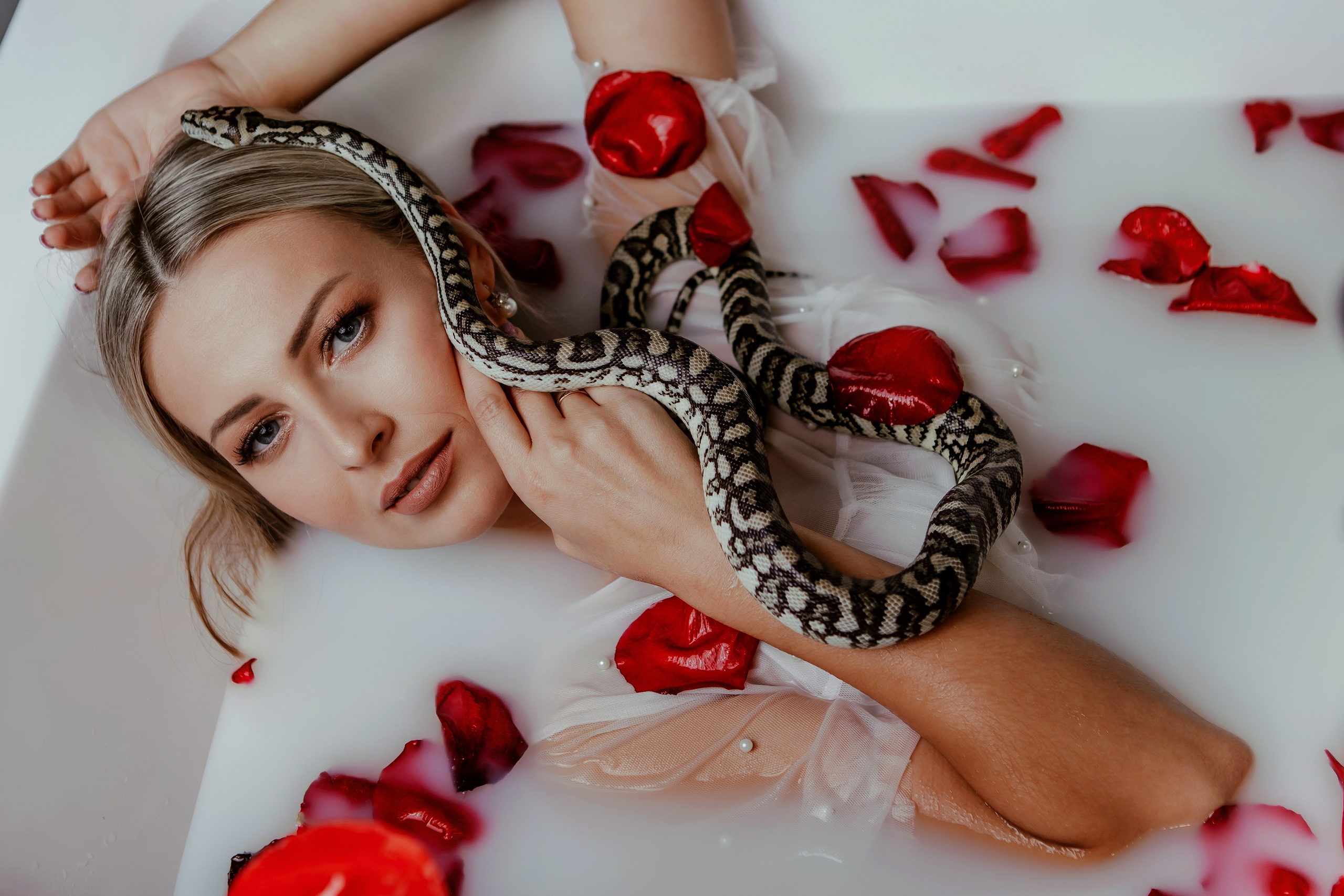 Змеи. Фотограф Новороссийск