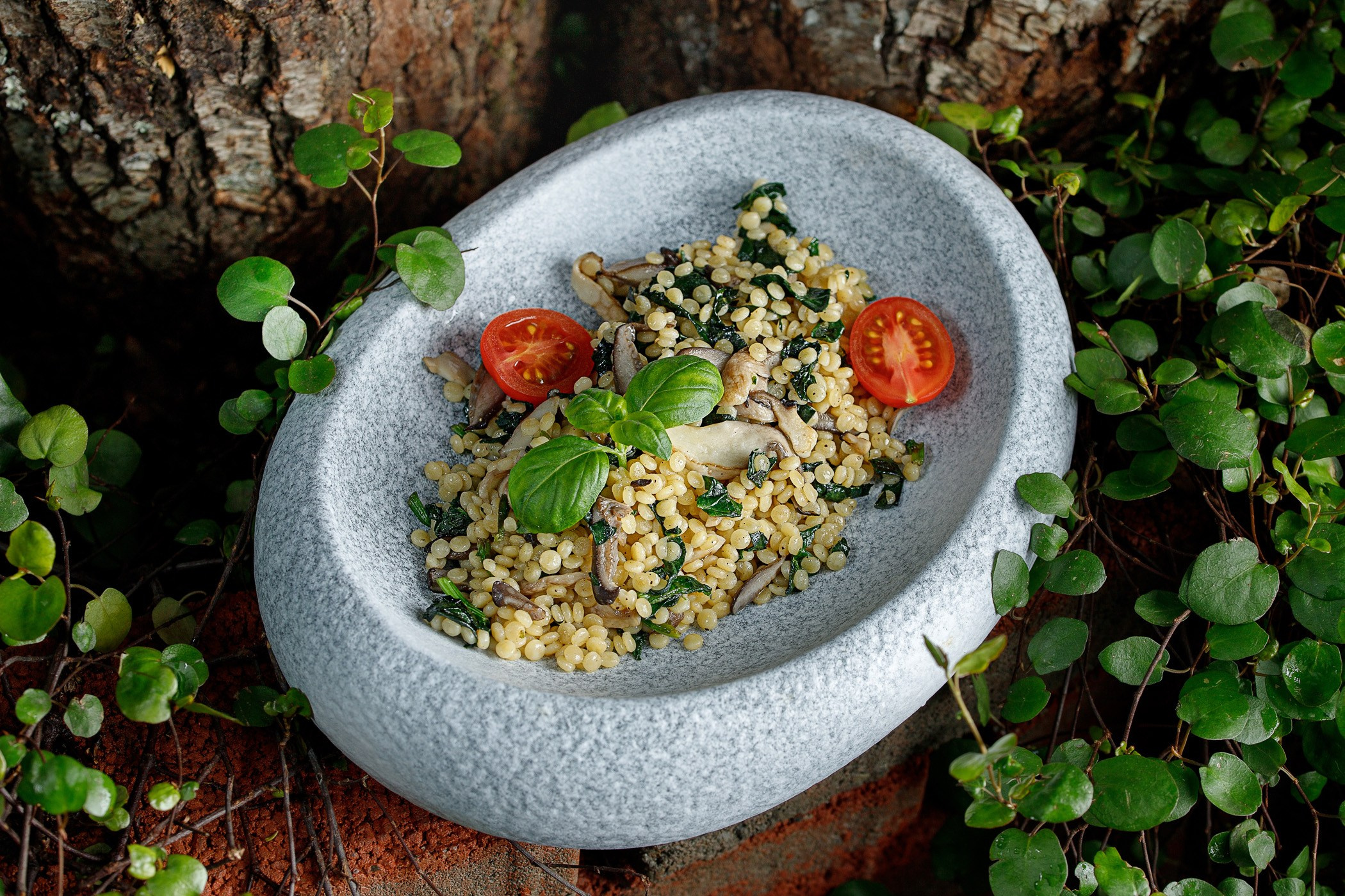 Foodphoto (съёмка еды для меню, сайтов и соцсетей). Интерьерный и фуд фотограф в Сочи Дмитрий Арно