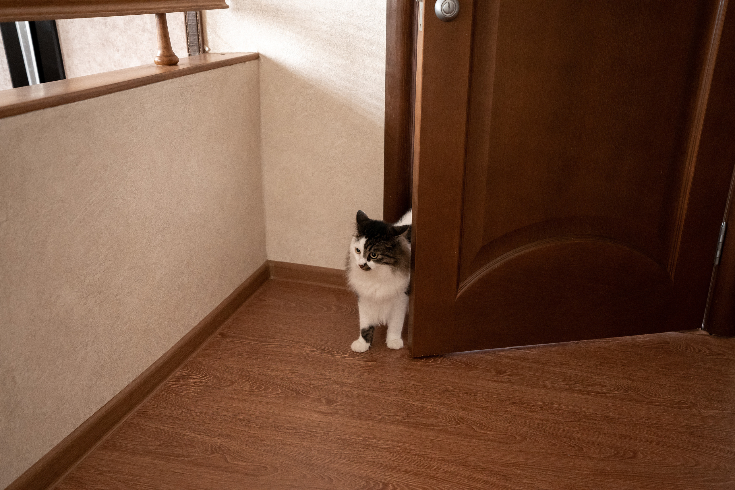 Свадебная съемка. Карпенко Марина свадебный и семейный фотограф Анапа, Краснодар, Геленджик, Сочи, Темрюк