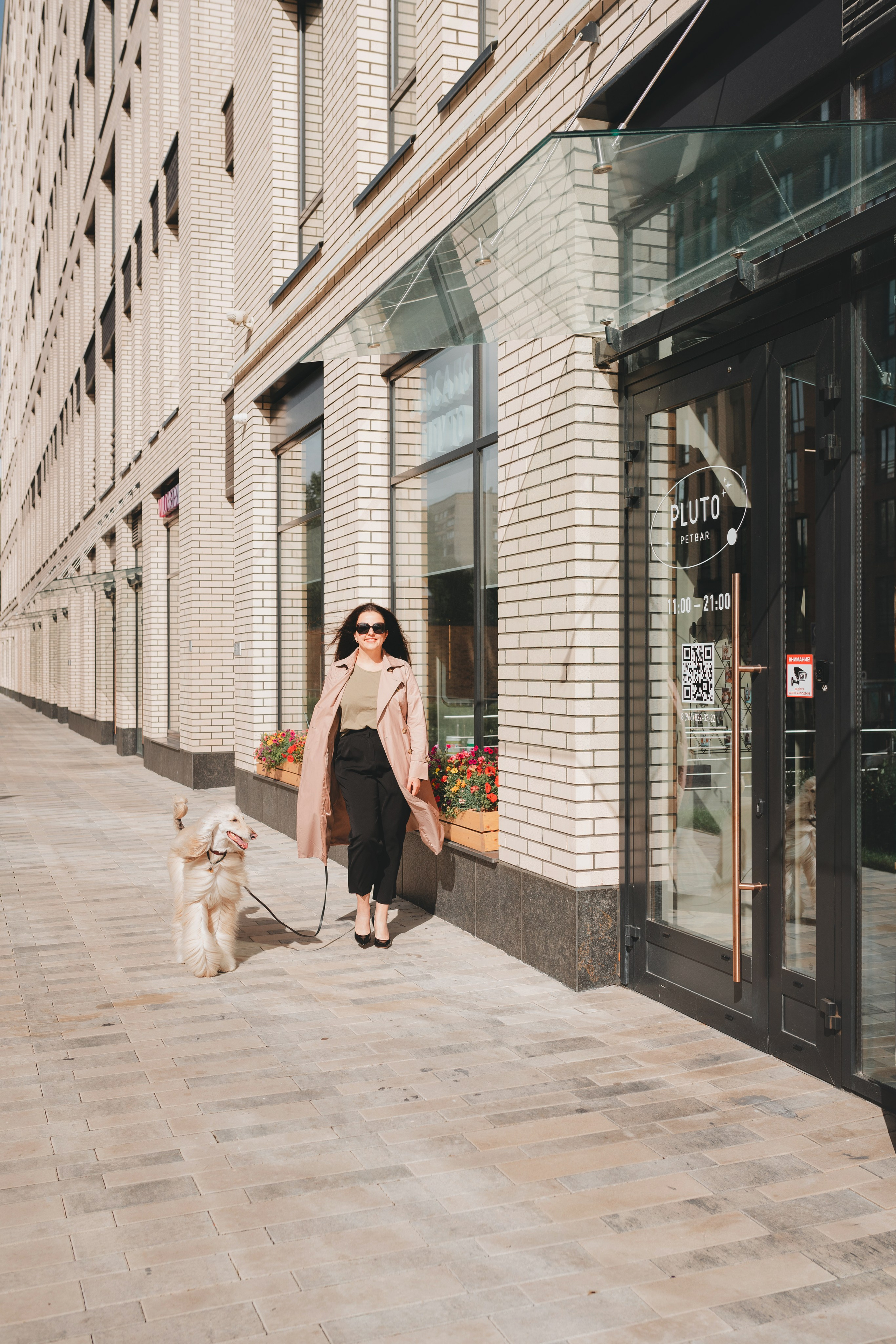 Груминг — салон. Фотограф анималист Осипчикова Мария