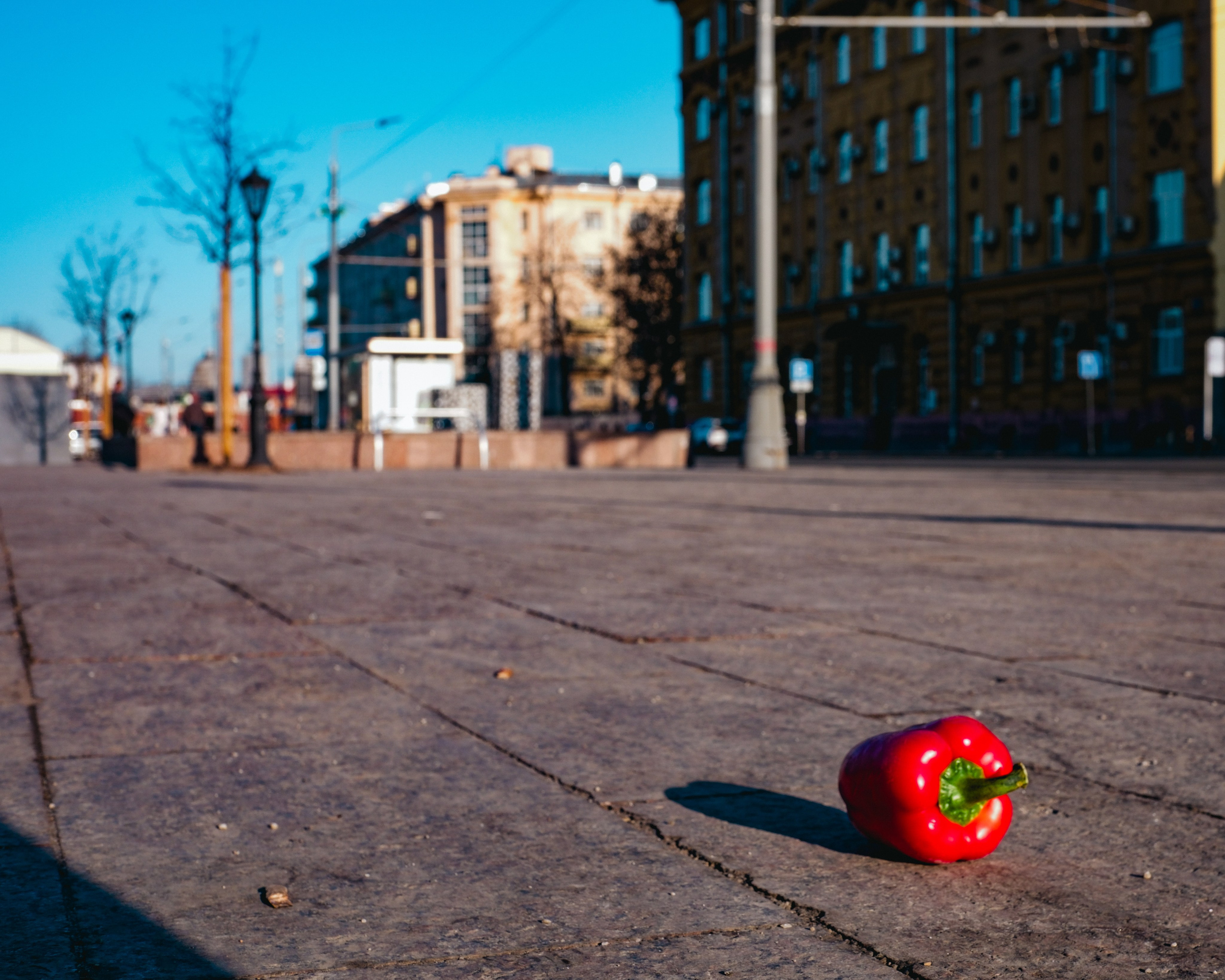 Московские зарисовки (сборник). Фотограф в Москве Полина Ефремова