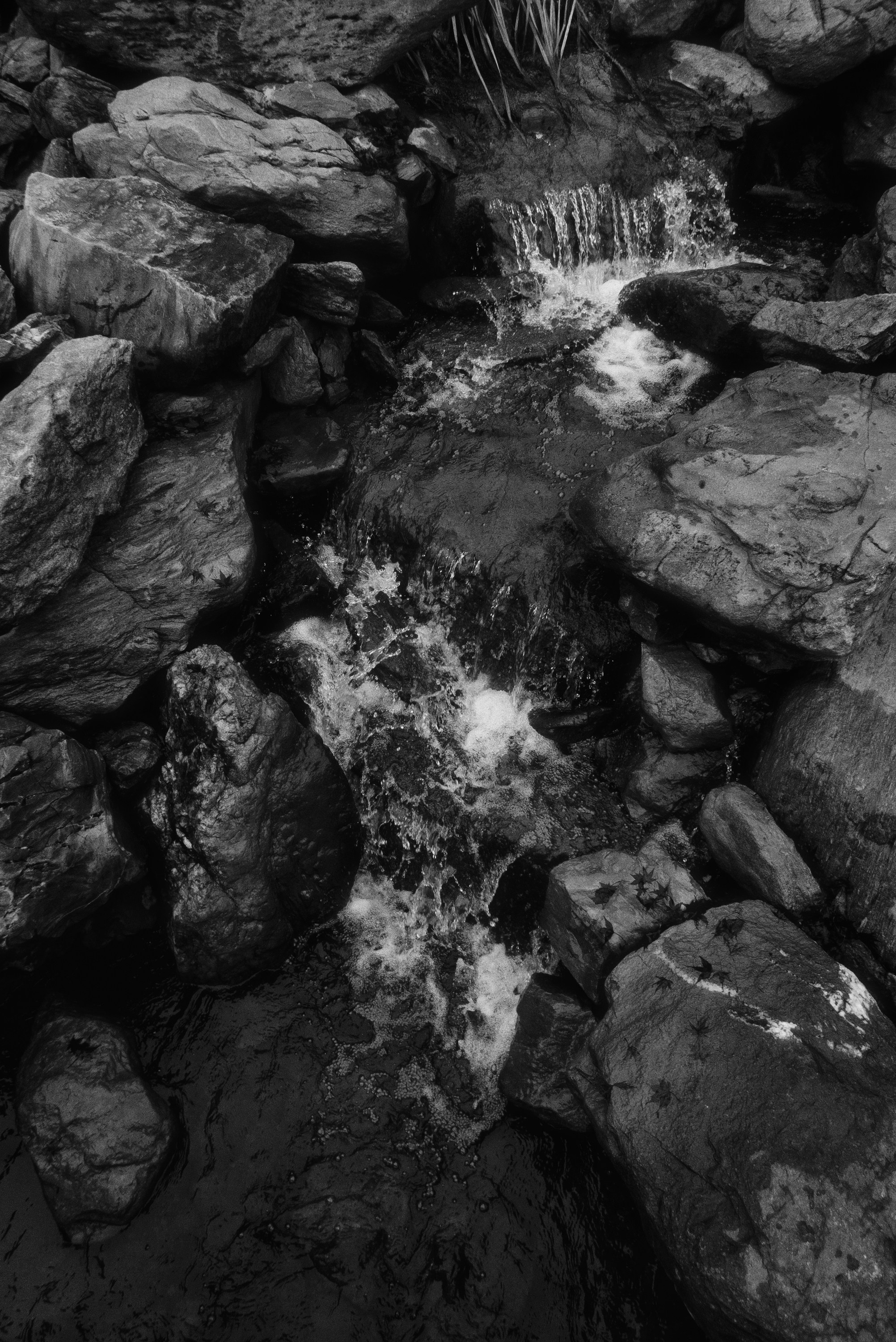 OM-System Tough-7 / Park Krasnodar (japan). Фотограф Юрин Евгений