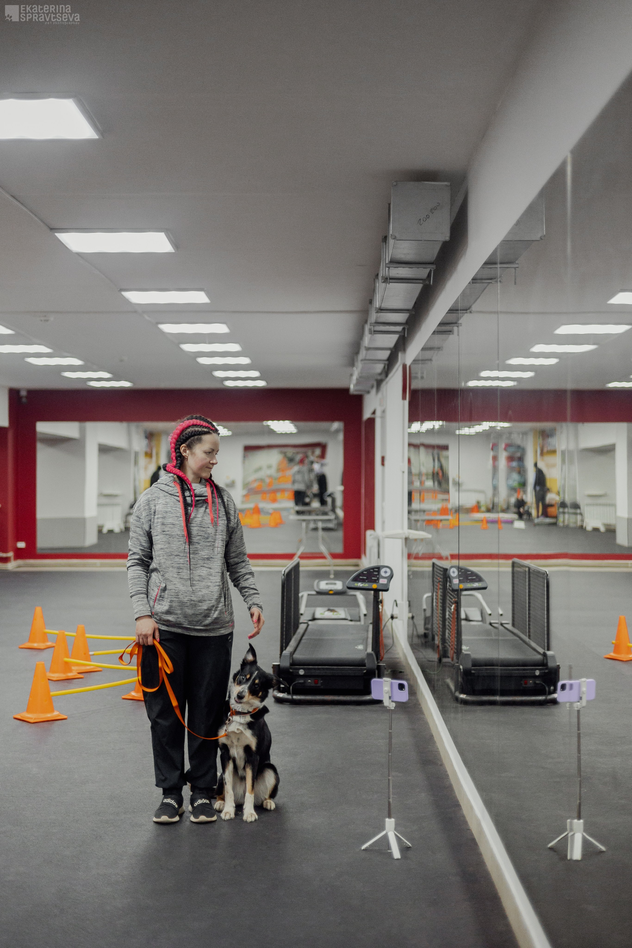 NoseWork. Фотограф Анималист Екатерина Справцева в Нижнем Новгороде