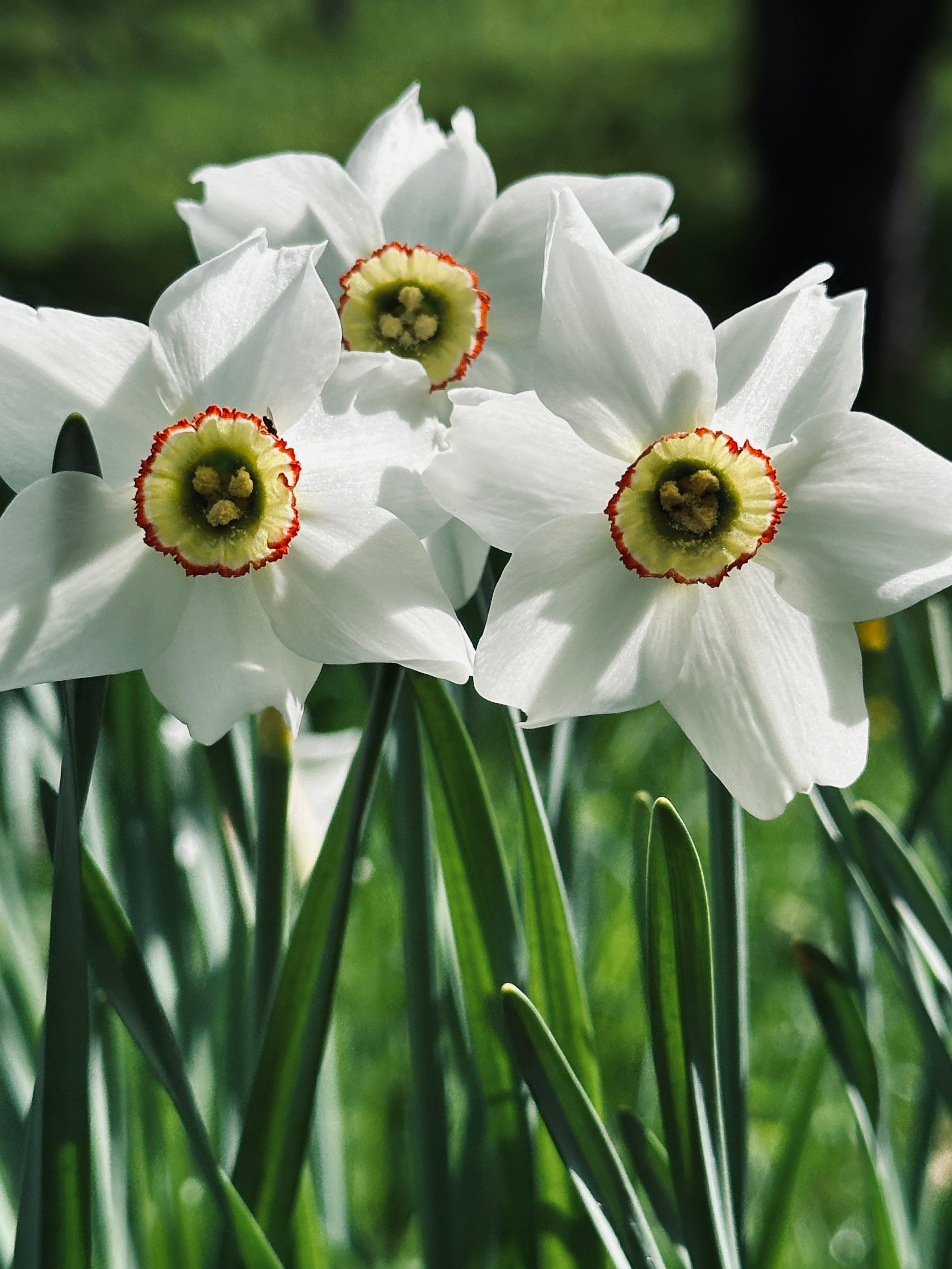 Макро любовь. Смотри, красота!