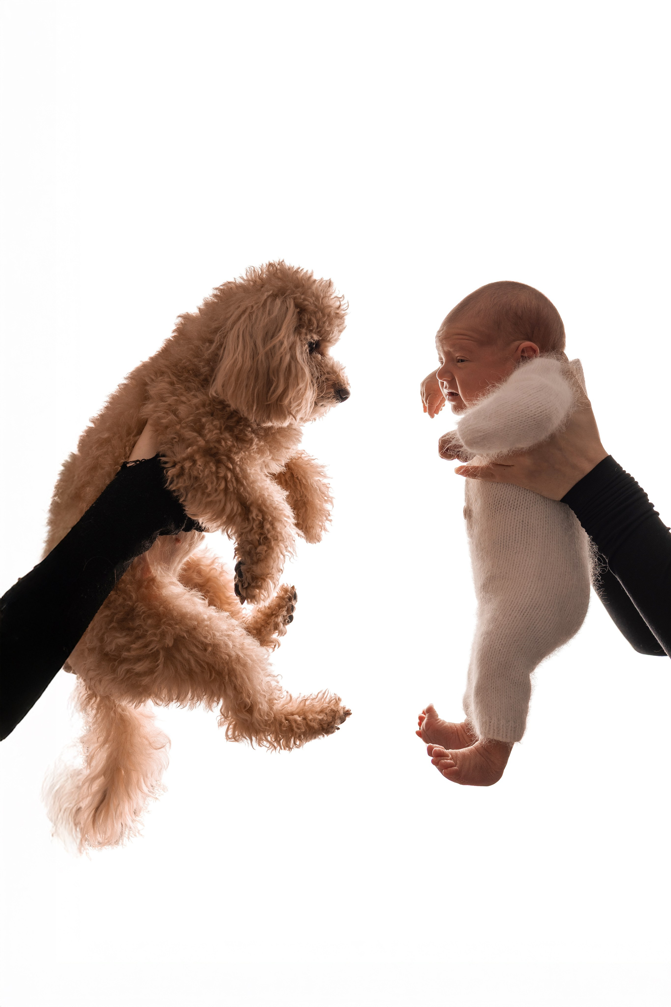Кирилл. Фотограф новорождённых Newborn Москва
