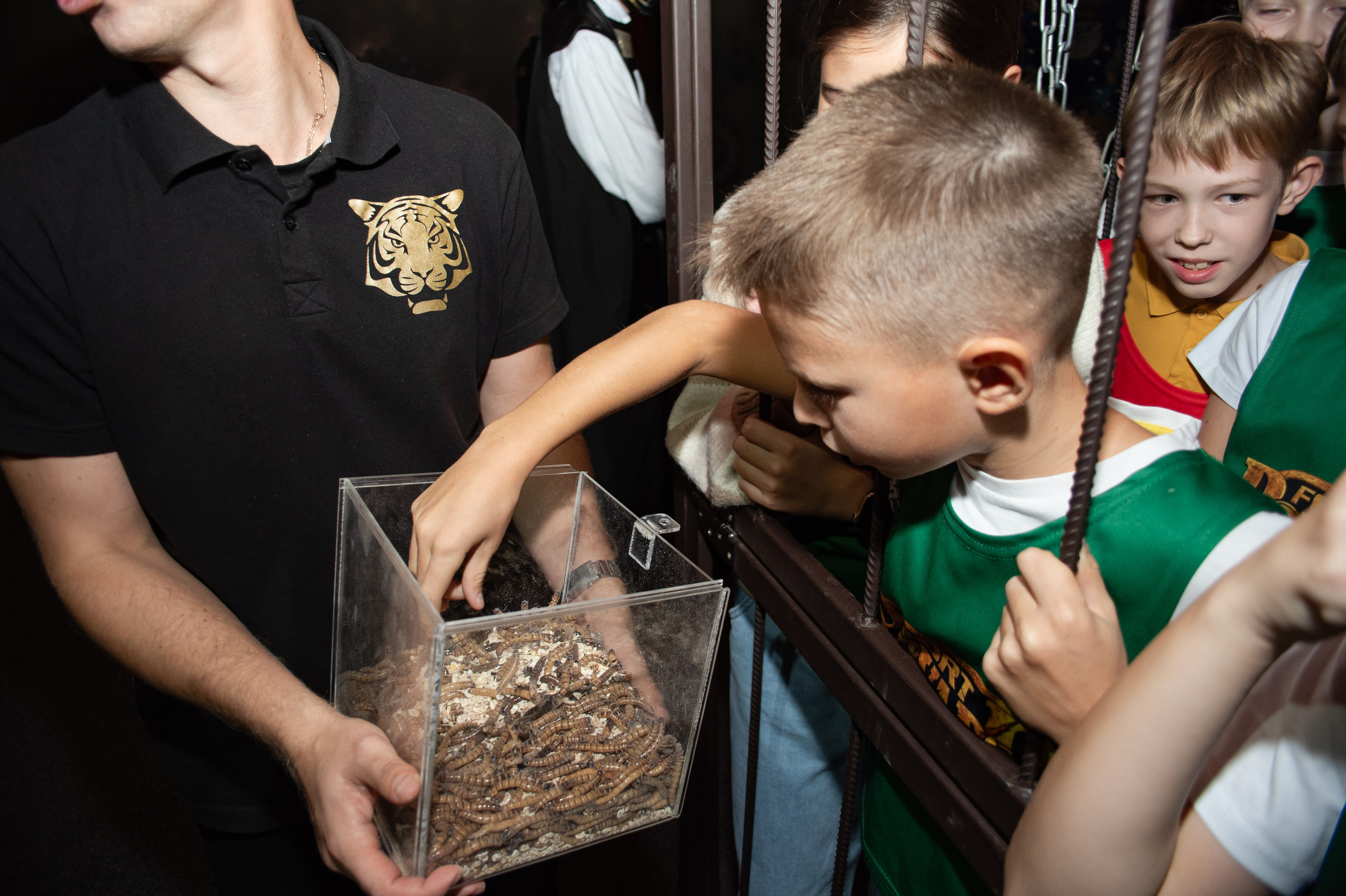 Форд Боярд День Рождения Ивана. Фотограф Челябинск Екатерина Миниханова