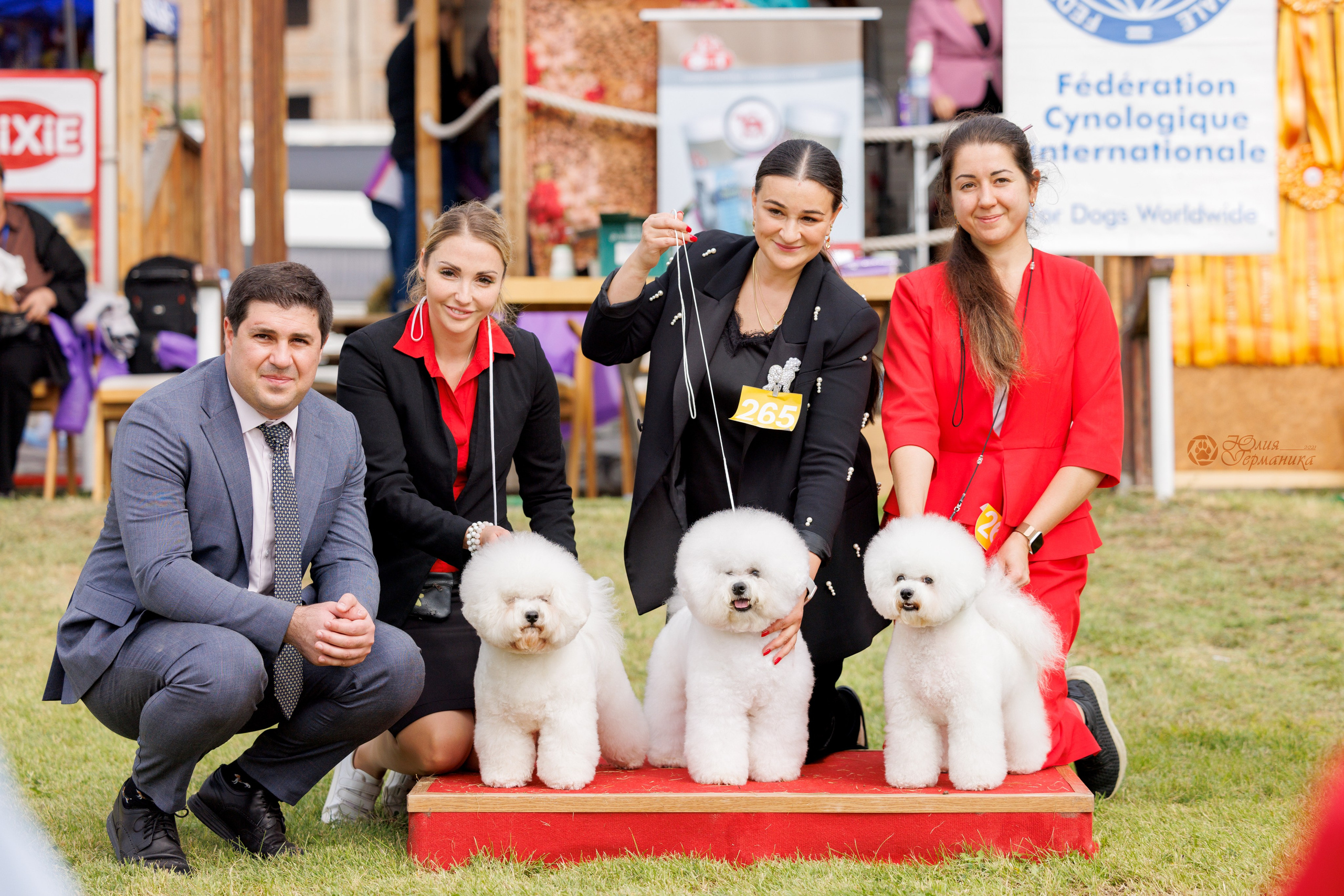 Армения,Ереван 3хCACIB 15-17.10.2024. Фотограф-анималист Юлия Германика