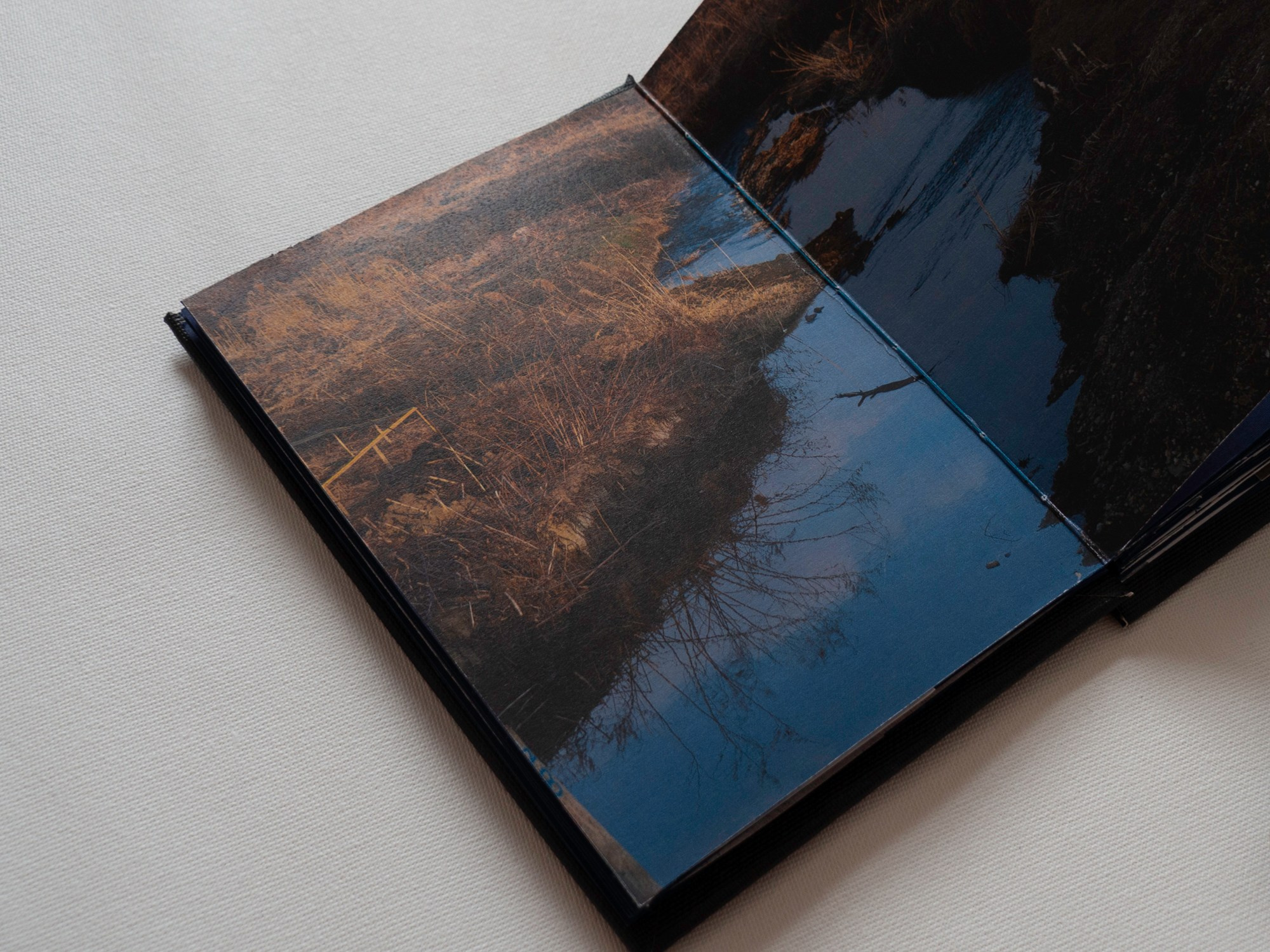 On Shore. Ekaterina Shikhanova