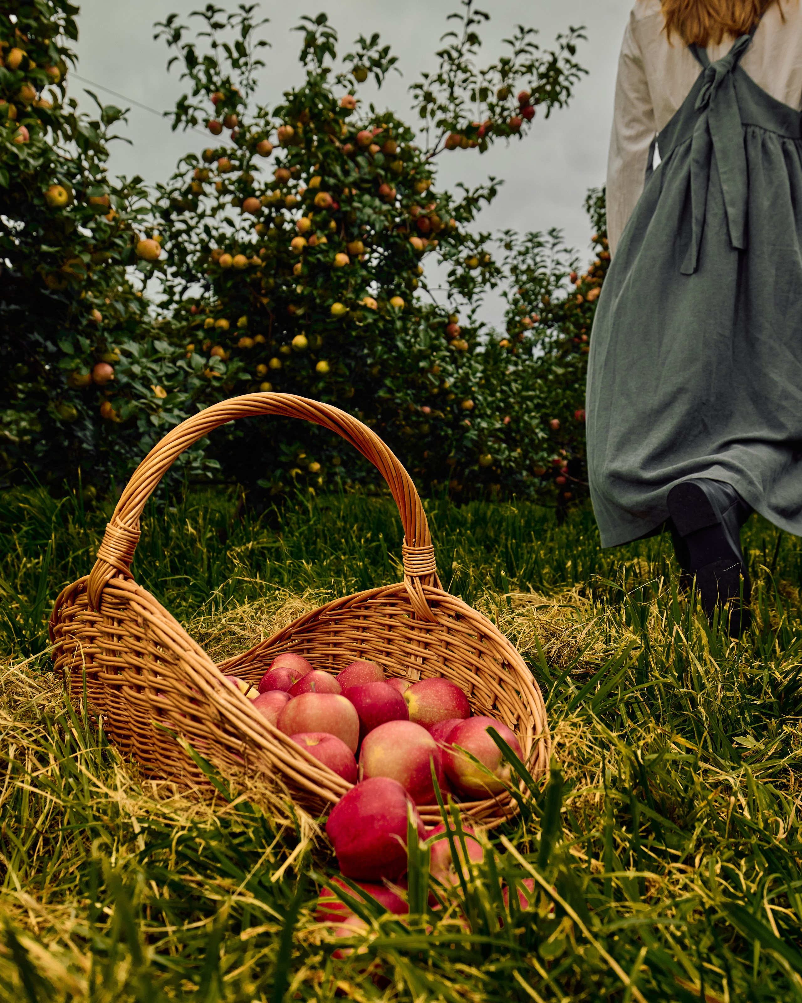 Собрано в саду. Святослав Лебедев | Рекламный фотограф — Коммерческая съемка, Арт-дирекшн, AI-интеграция