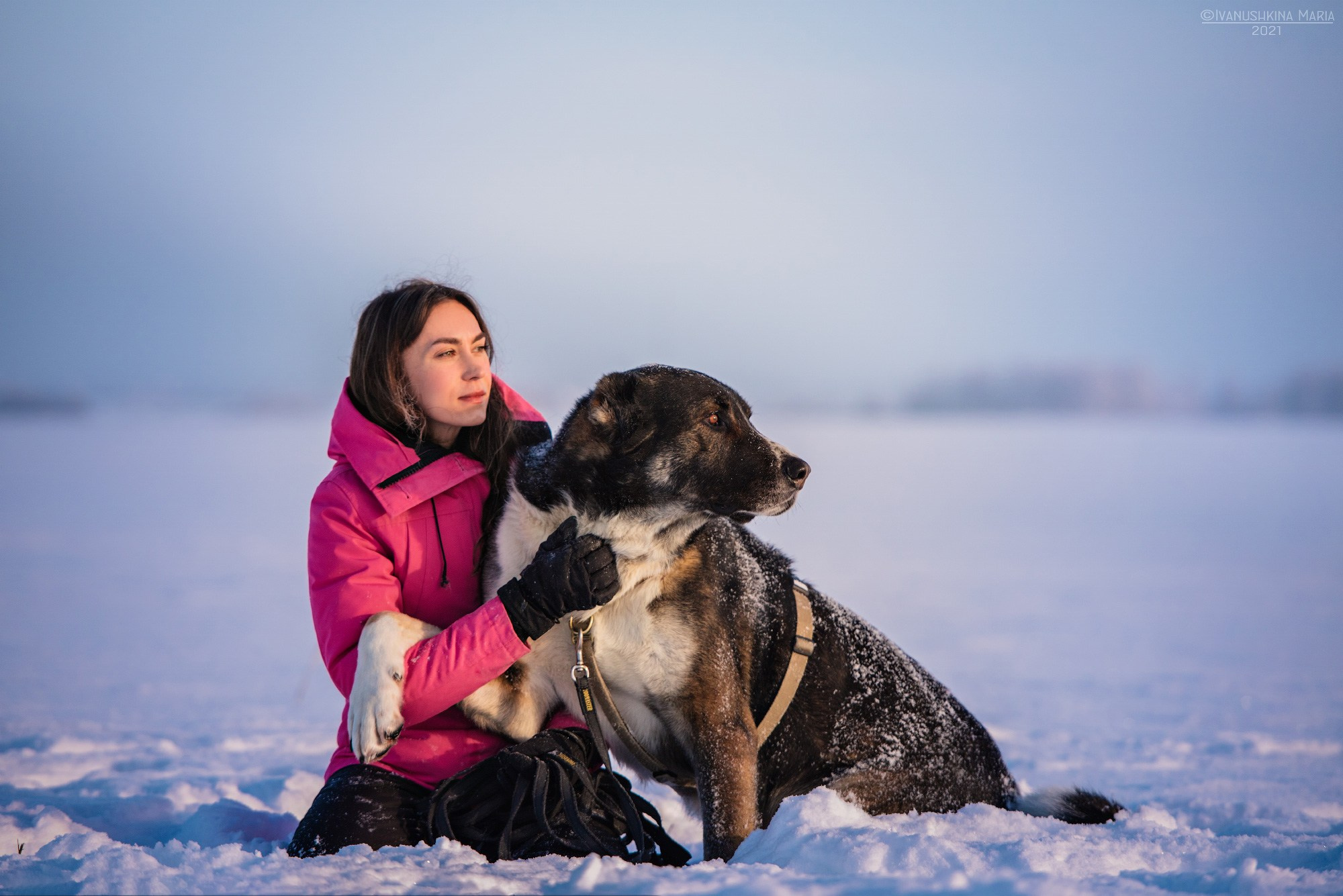 Фотосессия с собакой. Фотограф собак в Москве и Московской области Иванушкина Мария