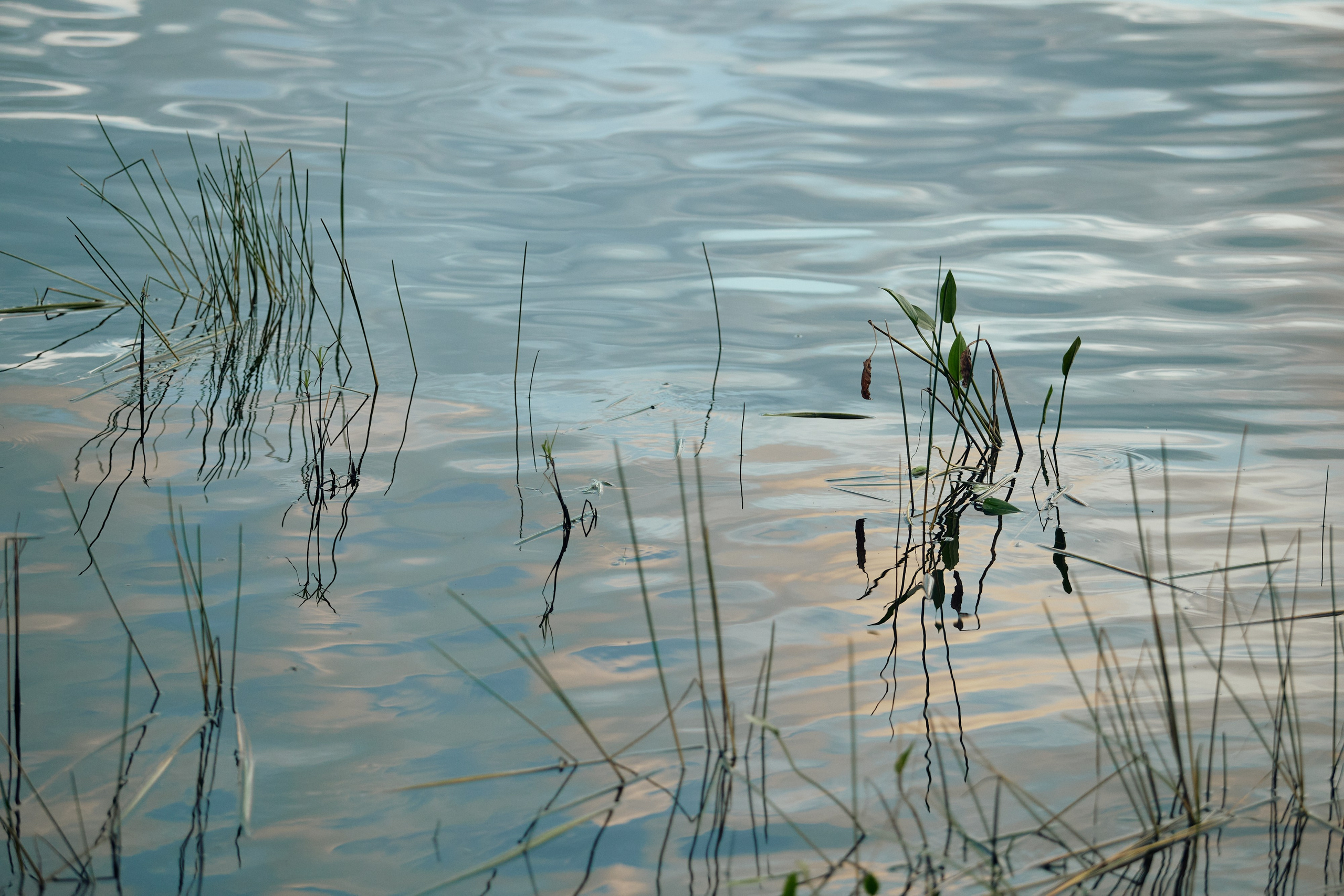 AVLN TEN YEARS. Дмитрий Мазуркевич: Профессиональный Репортажный Фотограф