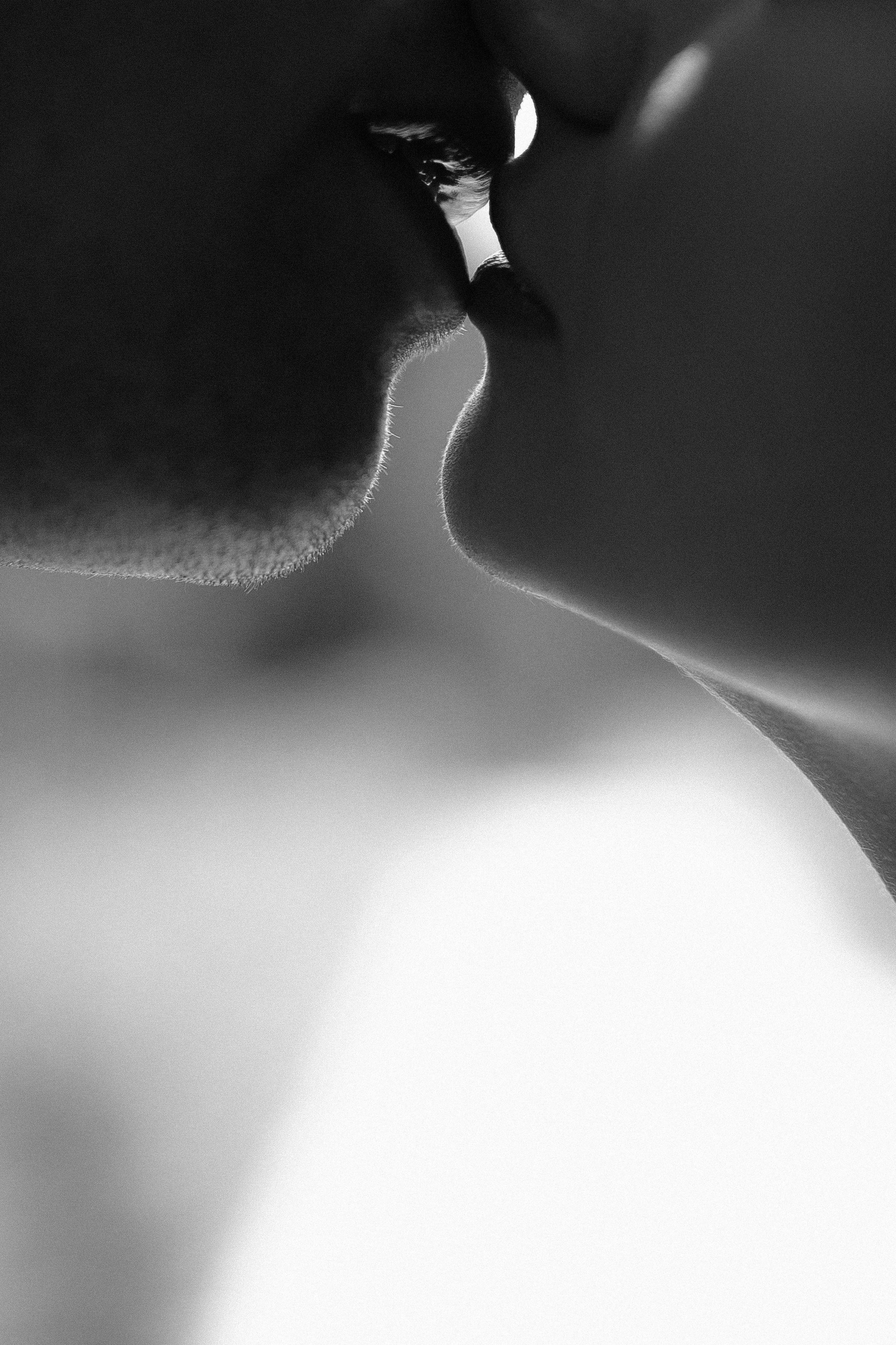 Свадьба Дмитрия и Анастасии. Фотограф Кольчугино/Владимир/Москва Елизавета Иода