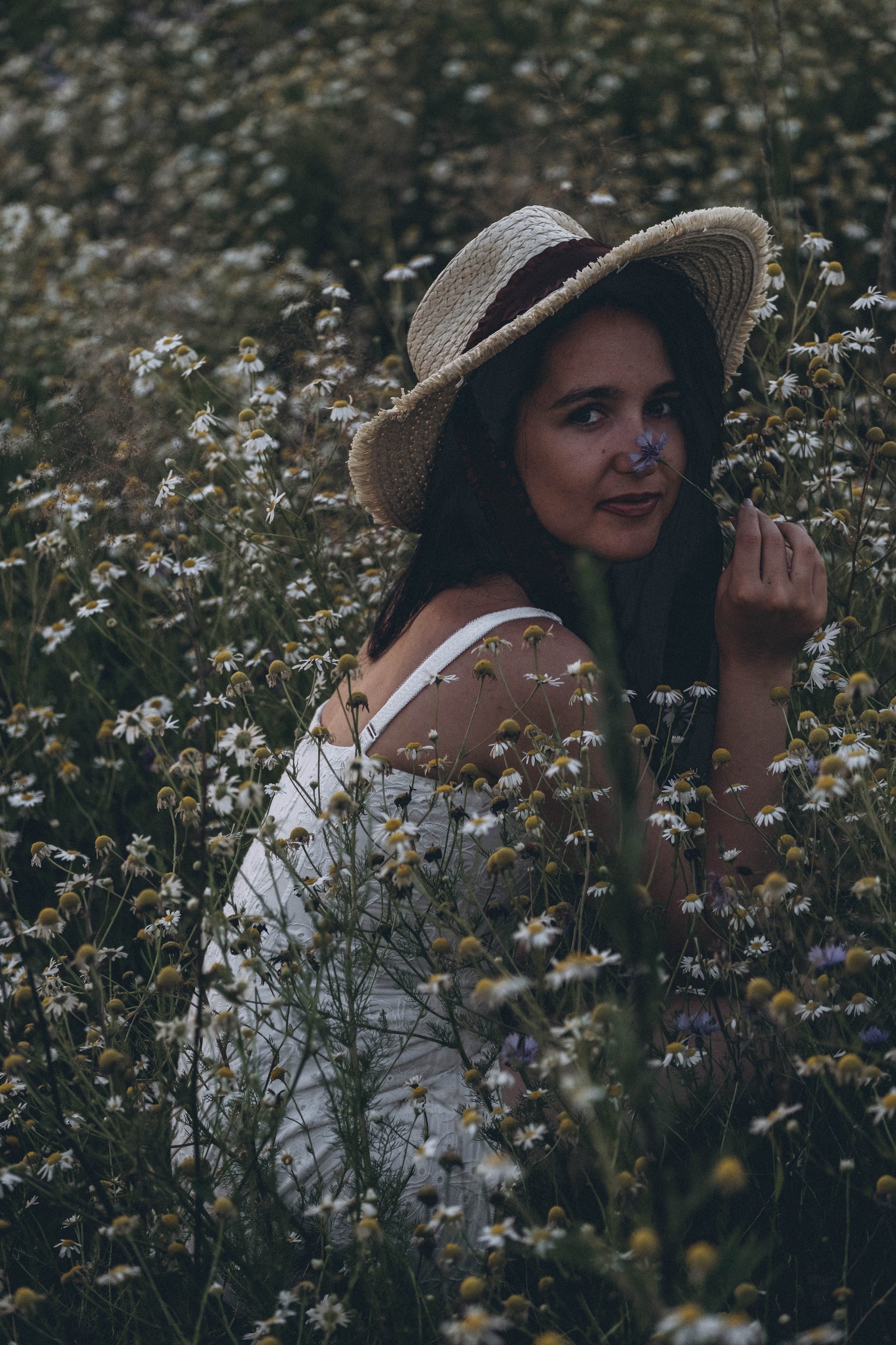 Ромашковое поле. Профессиональный фотограф, Санкт-Петербург — Виктория Богомолова