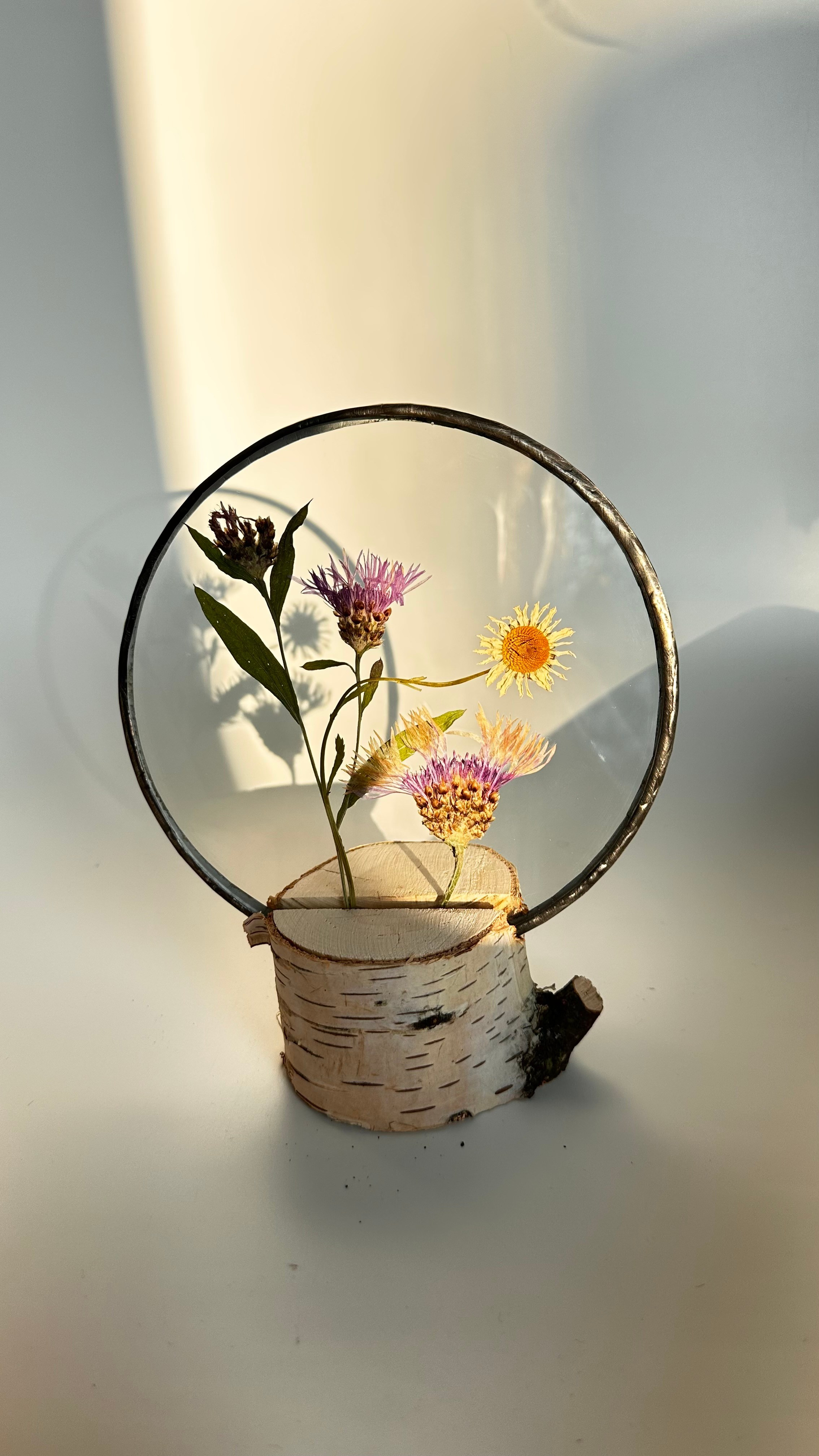 Витражи в технике тиффани с засушенными растениями (гербарии в стекле) в наличии и на заказ. Гербарий в стекле, интерьерные панно, витражи с сухоцветами в технике тиффани