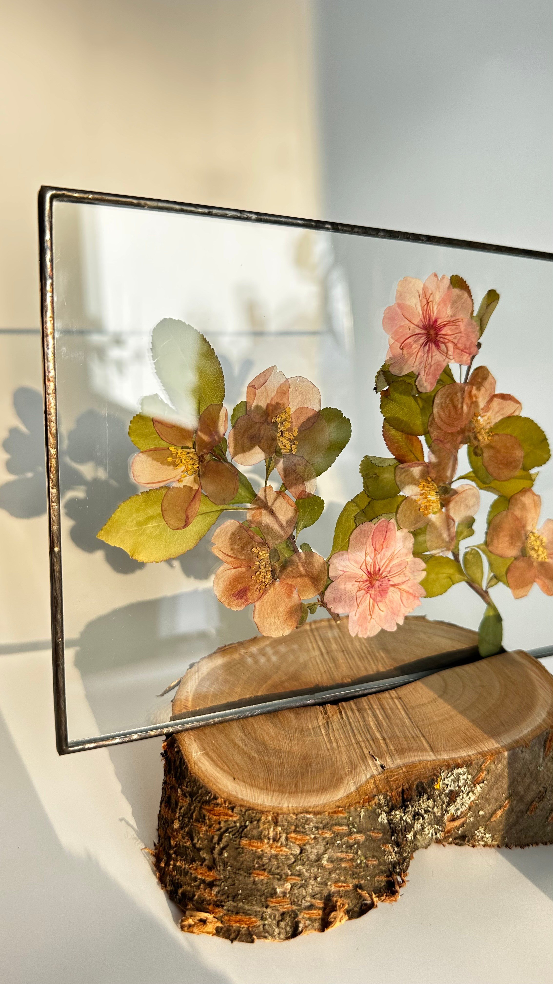 Гербарий в стекле с сухоцветами (витраж в технике тиффани). Гербарий в стекле, интерьерные панно, витражи с сухоцветами в технике тиффани