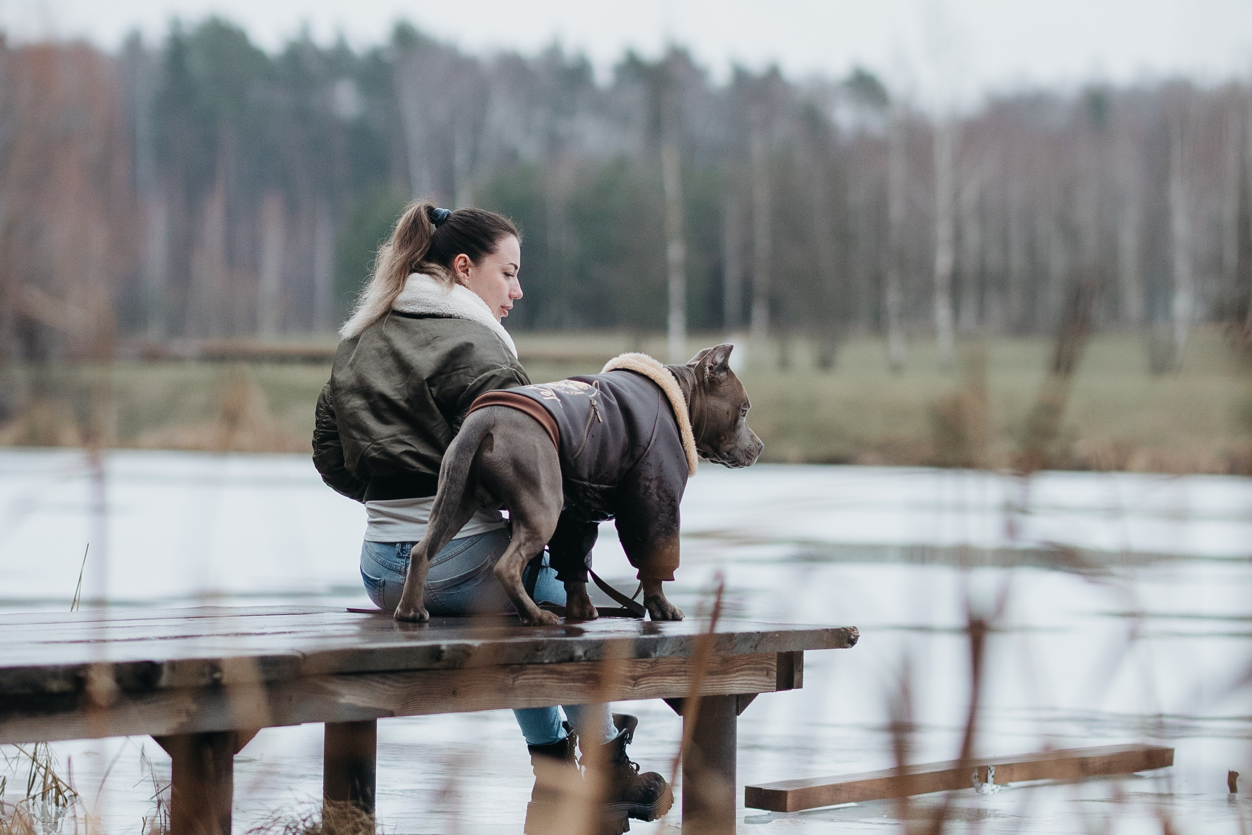 Зевс и Мария. Фотограф-анималист в Москве Кириллова Татьяна