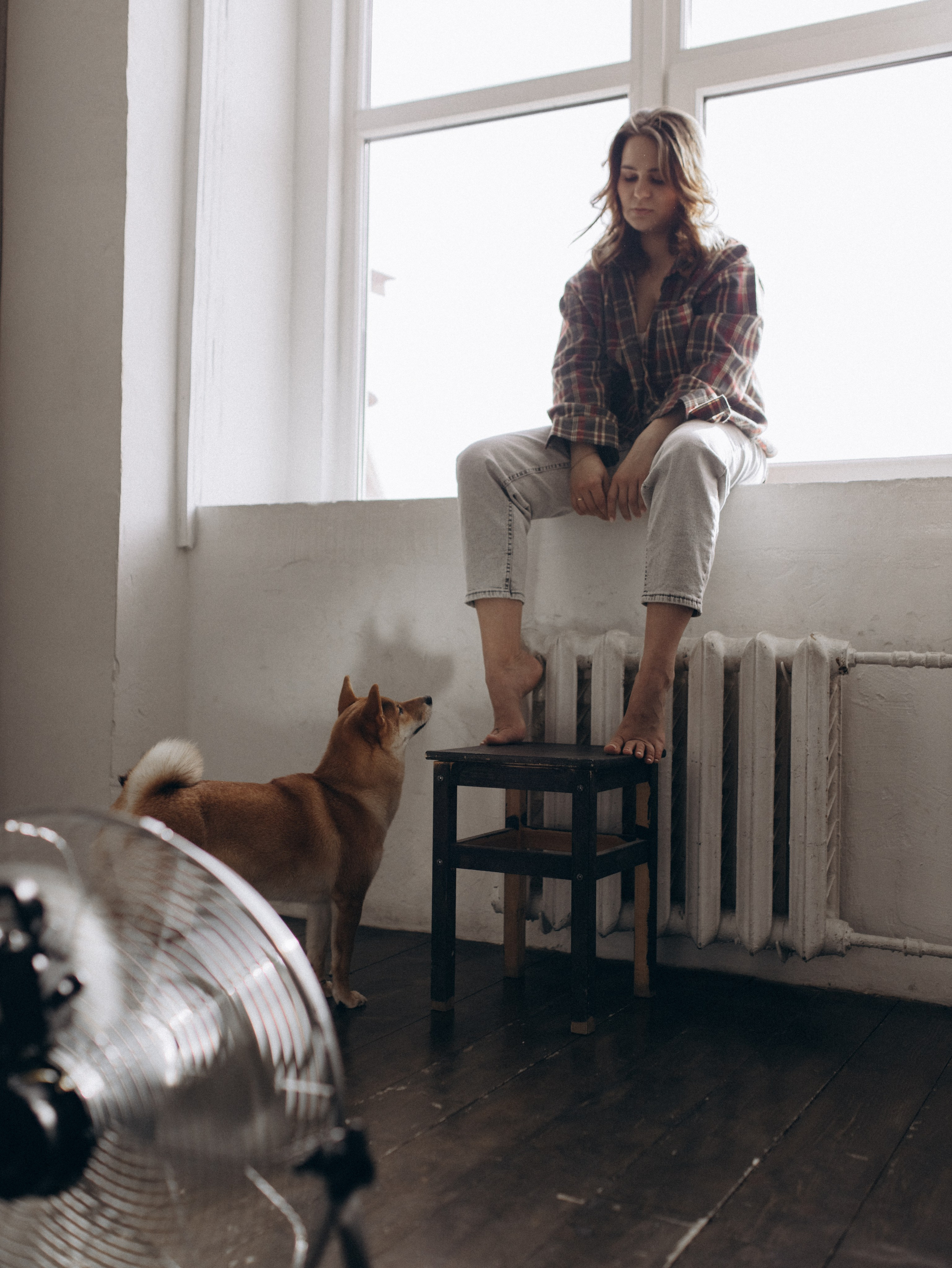 Мика и Настя. Фотограф-анималист в Москве Кириллова Татьяна