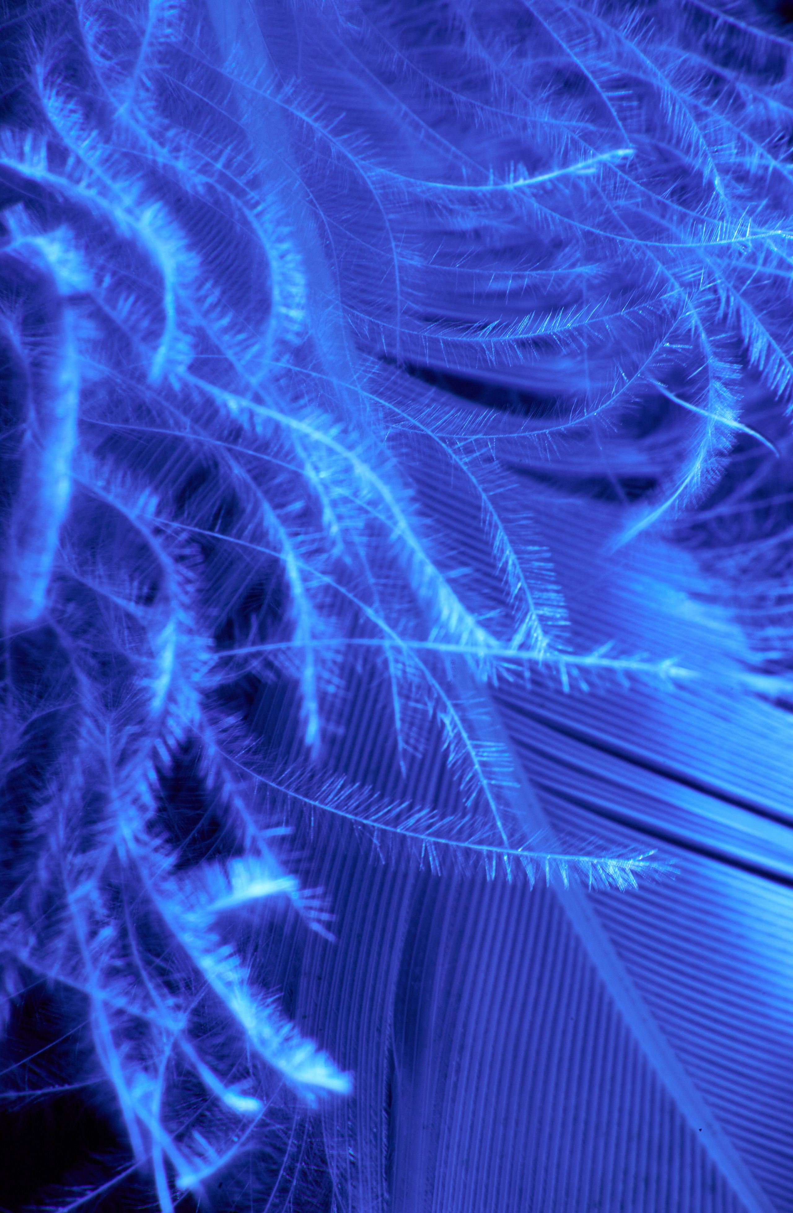 «Красок Тьма Полна». Арт-фотограф во Владивостоке Дмитрий Осипчук