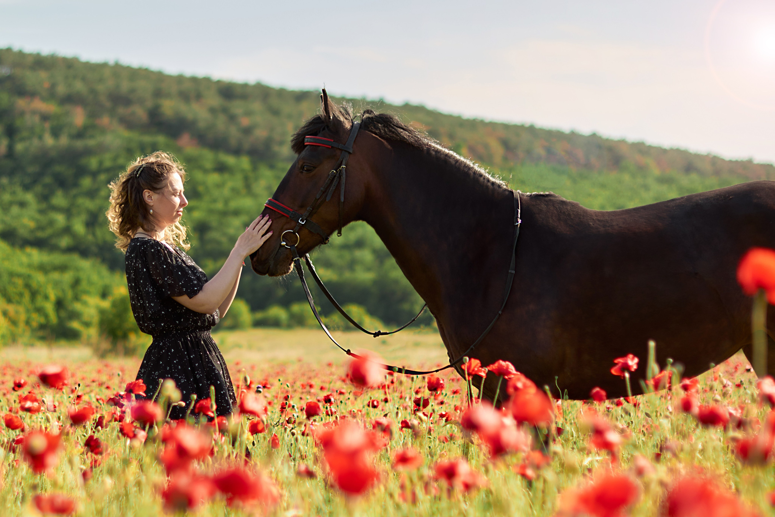 Фотосессия с лошадью Севастополь. Фотограф в Севастополе