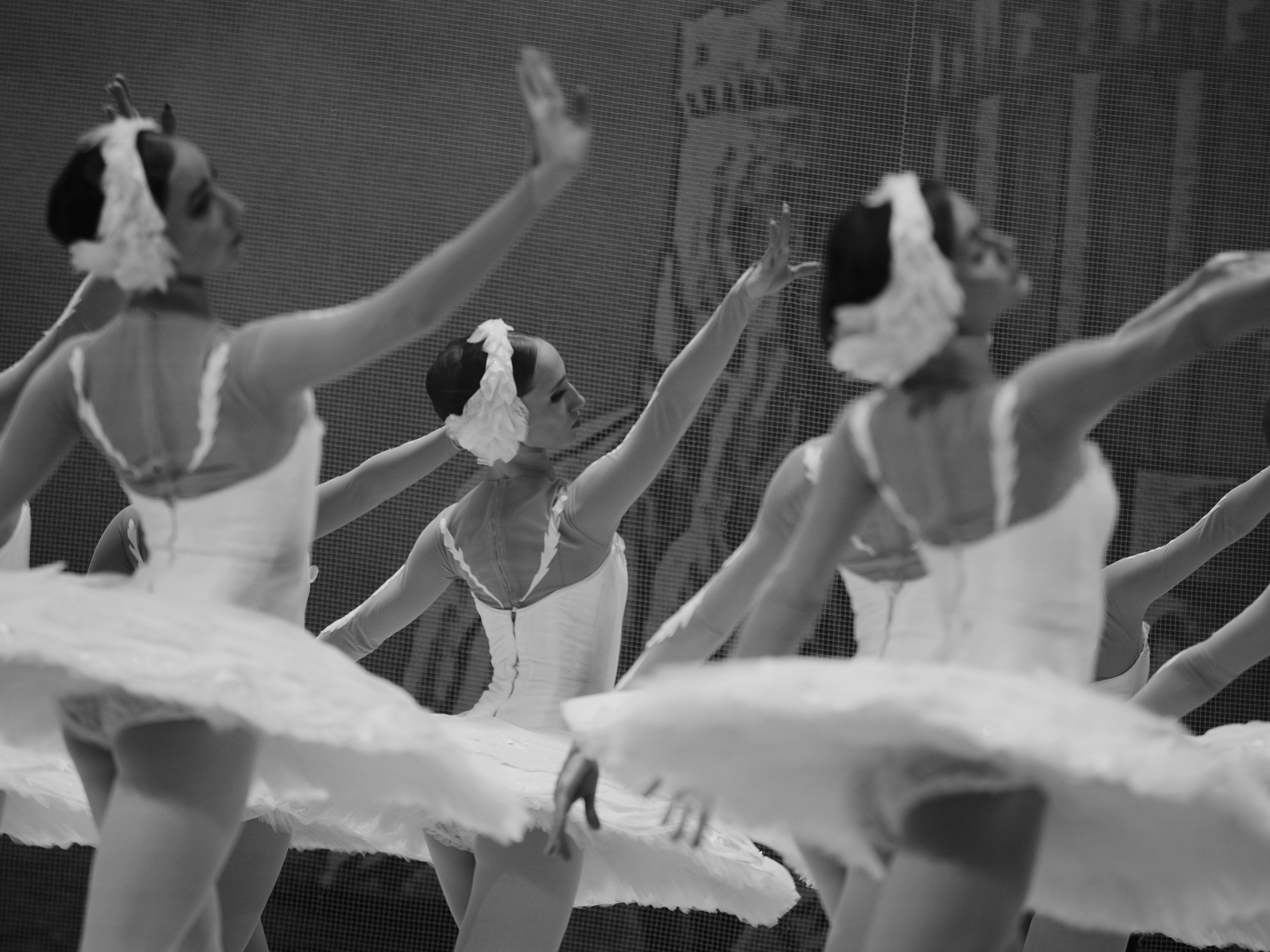 Балет «Лебединое озеро». Маруся Машкова • Фотограф в Москве