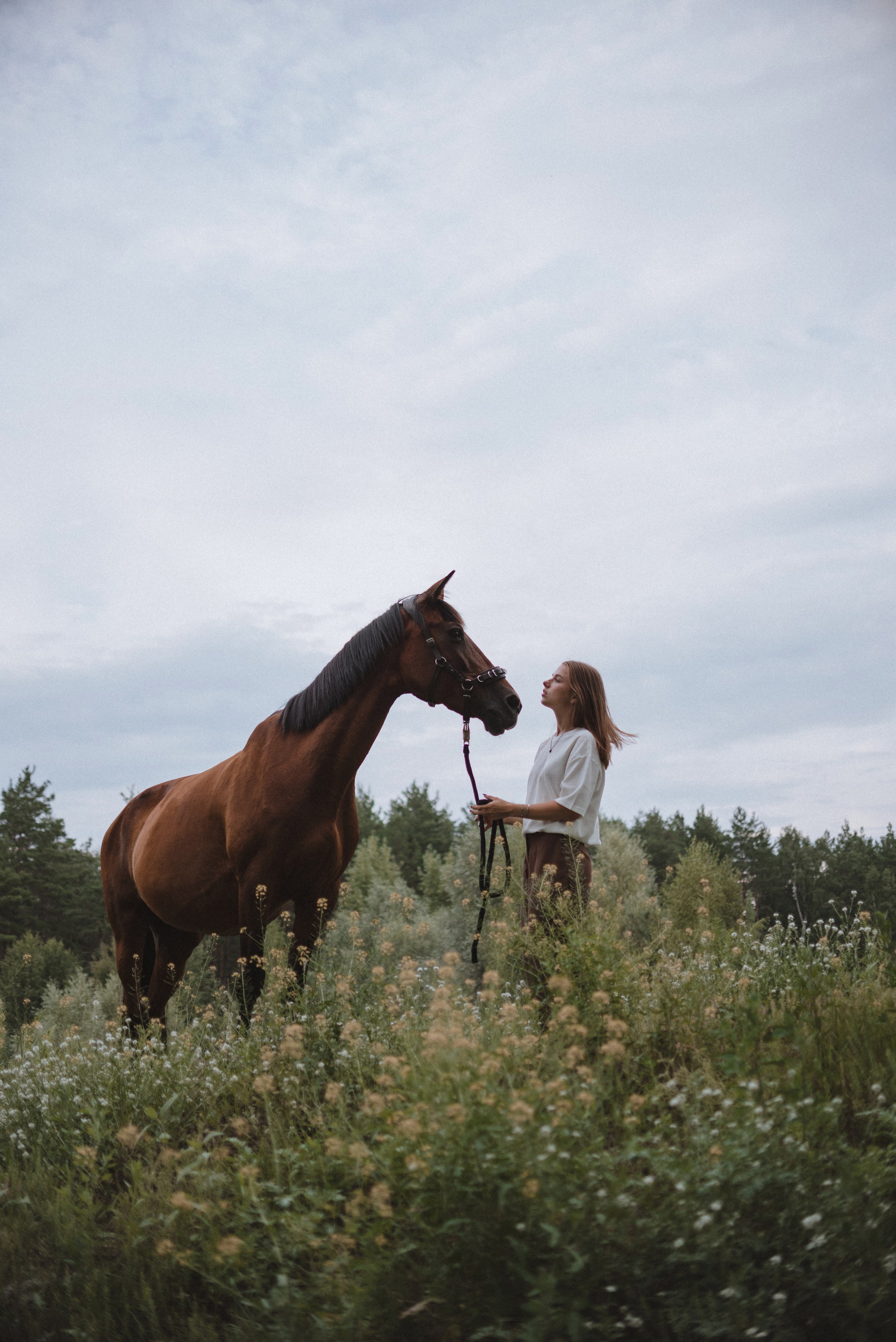 Таня и Гохрида. MariaGohri — Конный фотограф, анималист, Рязань