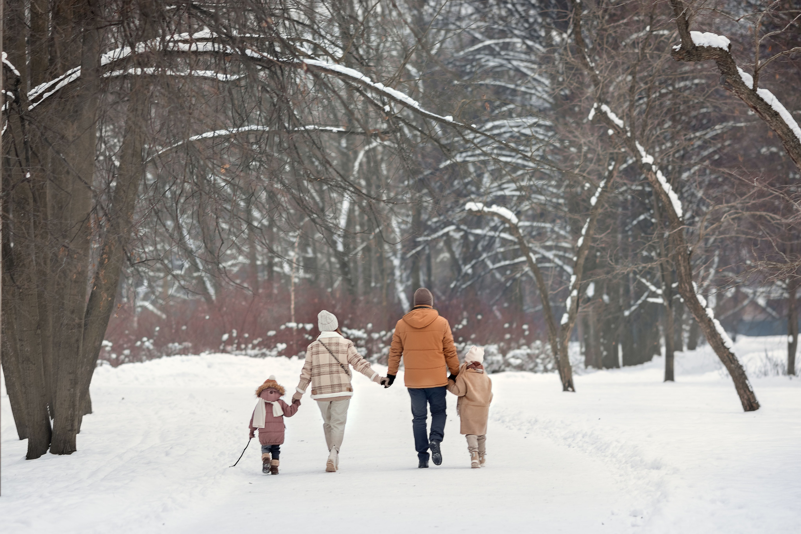 Зимняя семейная фотосессия в парке. Фотограф Юлия Кондратьева
