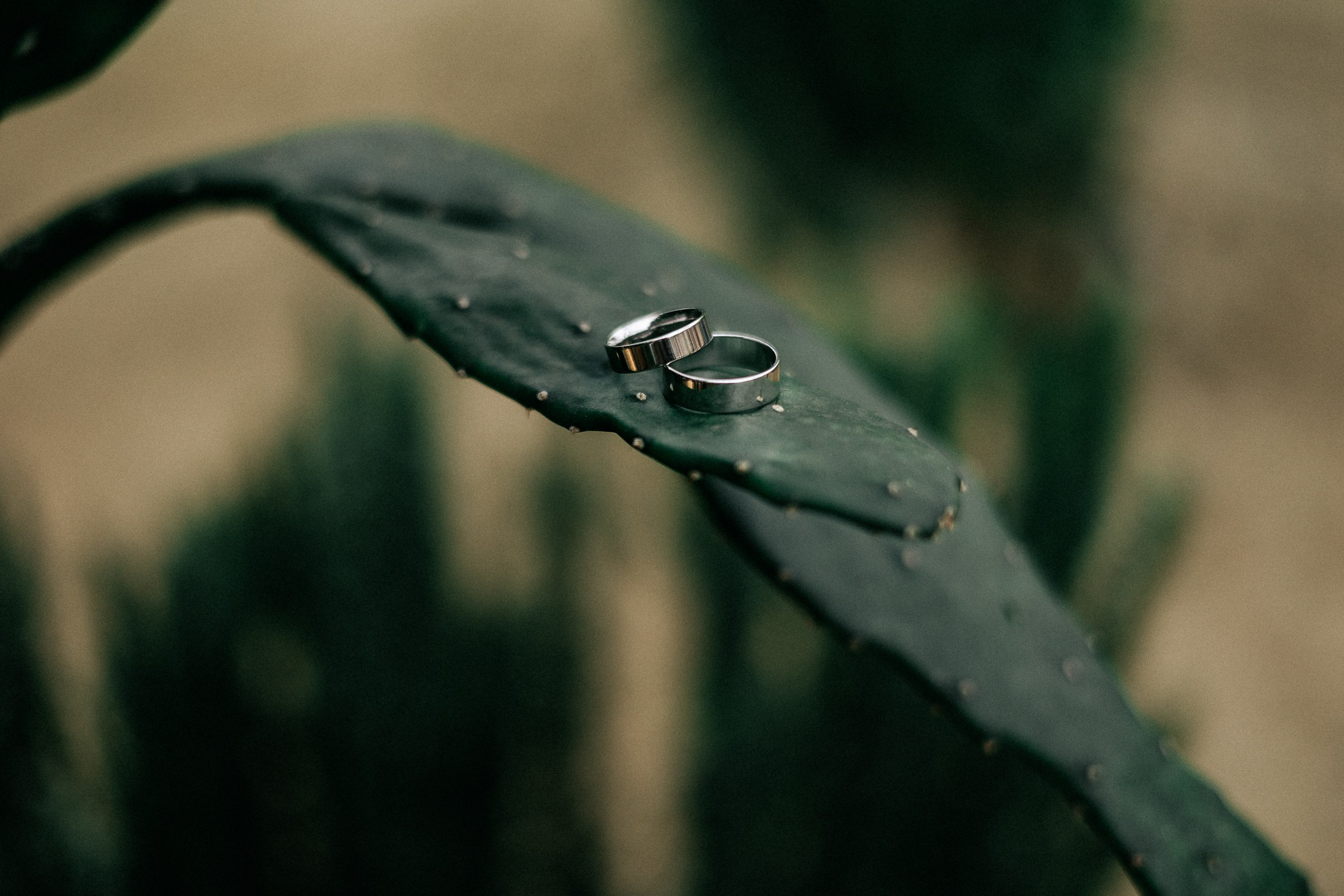 Михаил и Виктория. Свадебный и семейный фотограф в Красноярске Анастасия Турчанова