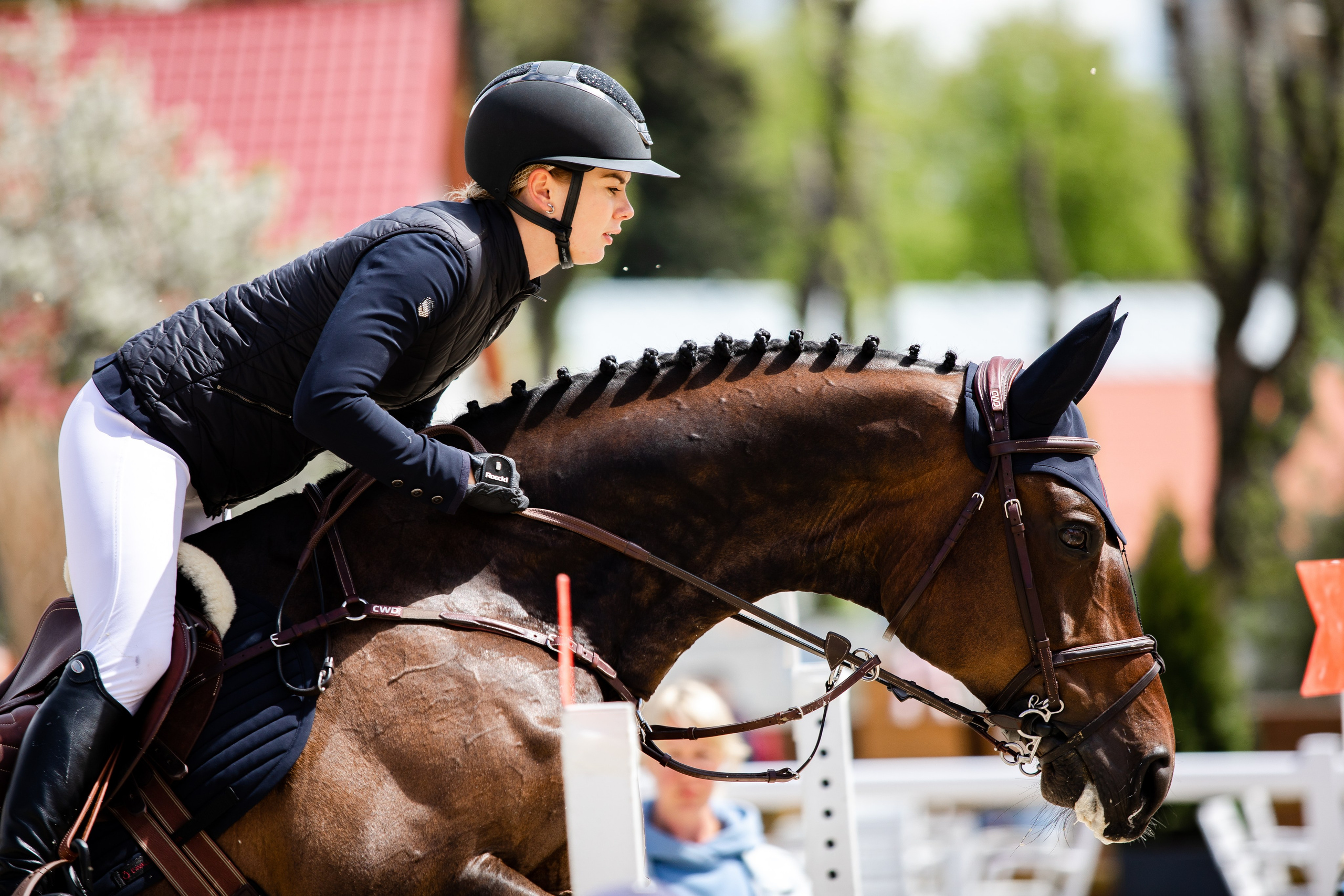 Турниры. Veronika Makeeva horse photo
