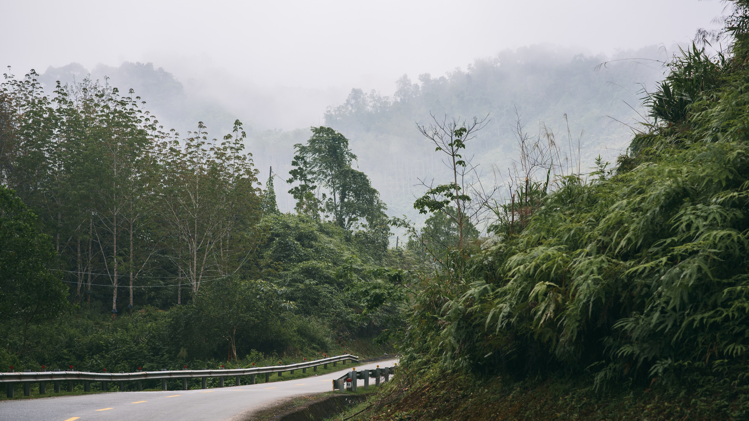 Other. Orunek photo (portrait photographer in Da Nang)