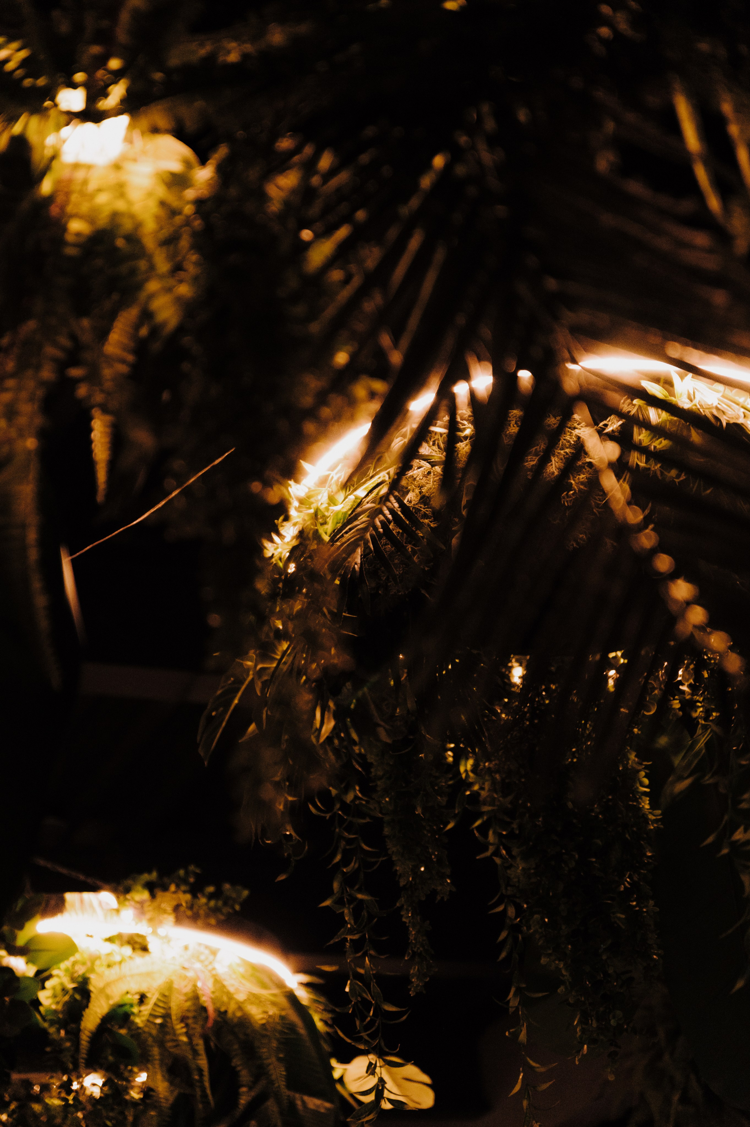 Beerlogovo birthday party 2024. Свадебный фотограф в Тамбове Валерий Тихов