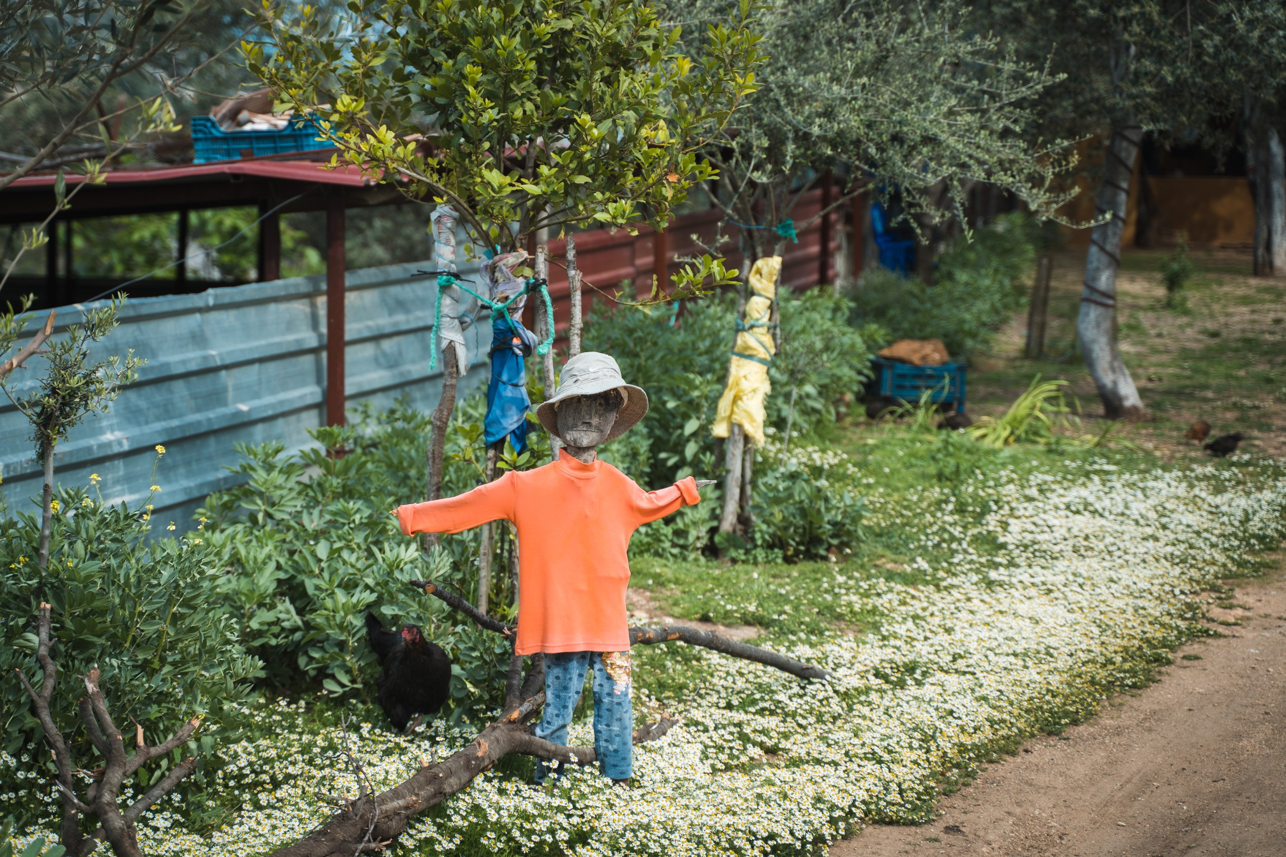Турция. Западная Ликийская тропа. Фотограф в поход и восхождение на Эльбрус Игорь Косарев