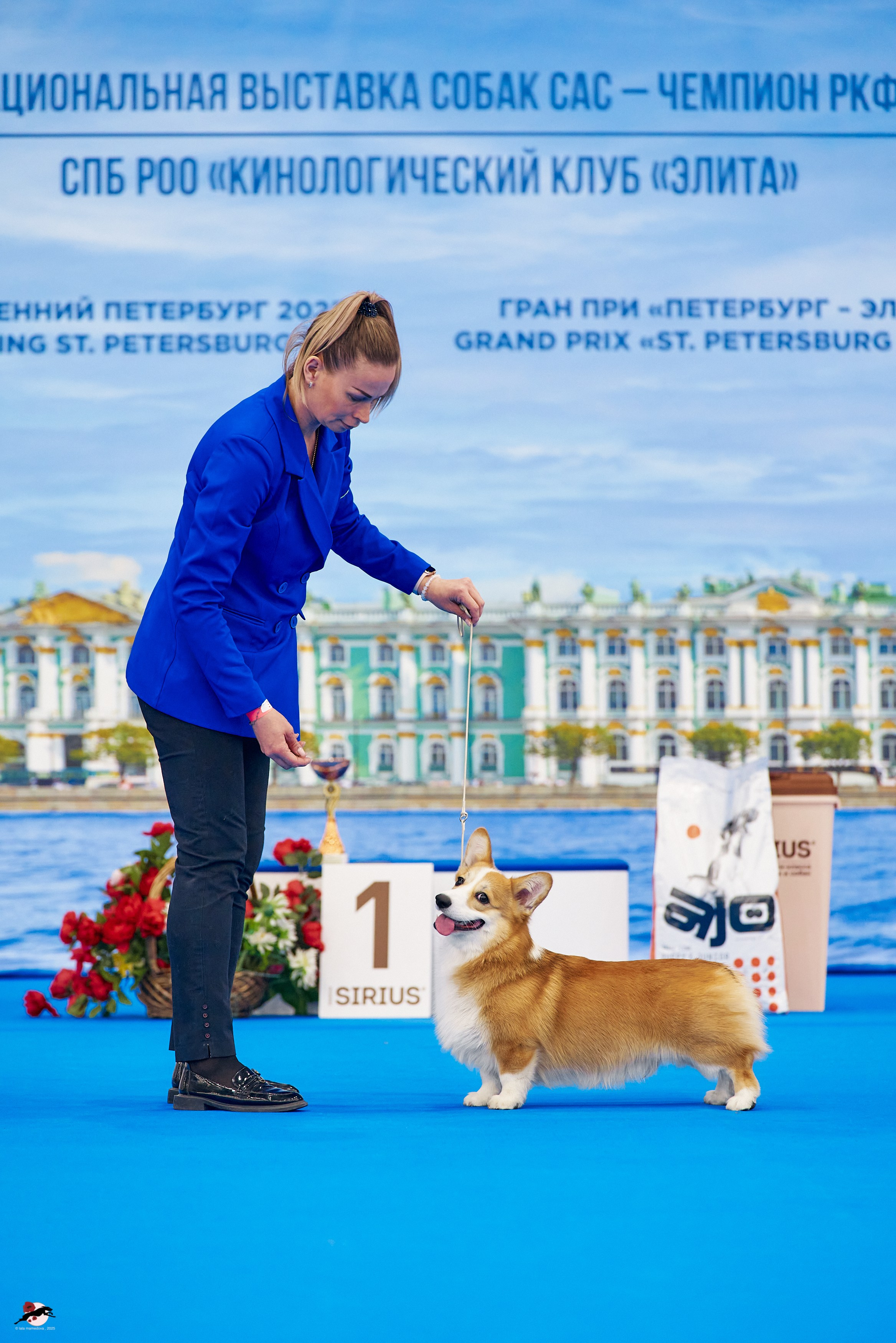 27.04.2025 | "Петербург-Элита 2025" & «КУБОК «ЭЛИТЫ»-2025»