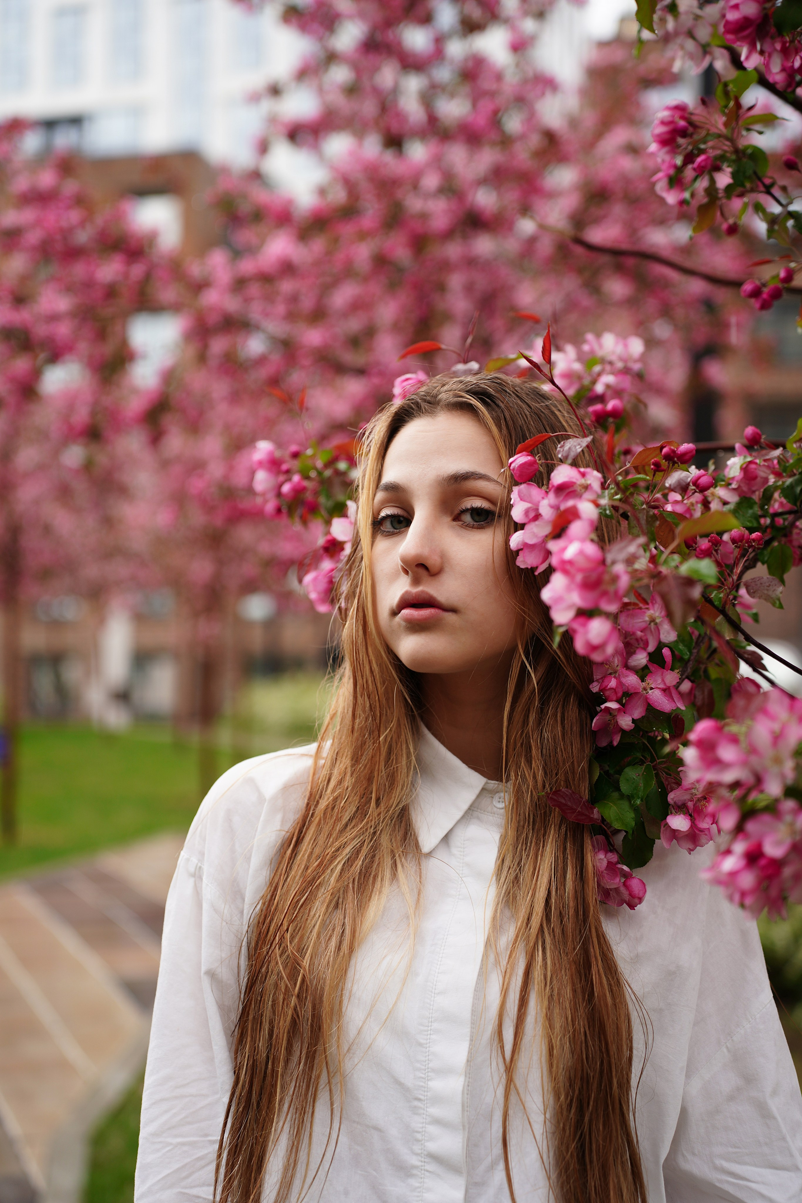 Оля Башкирская Сакура. Pupov.png