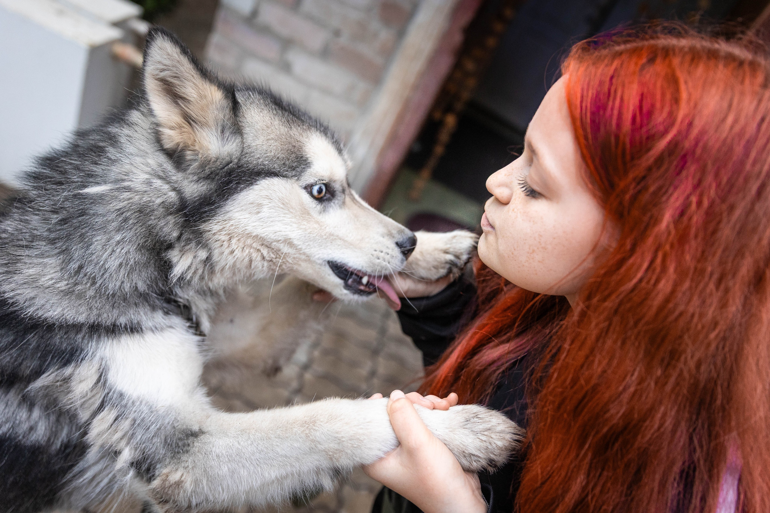 ВЕСТА И ЛЕРА. Фотограф-АниМалист Анна Абрамова