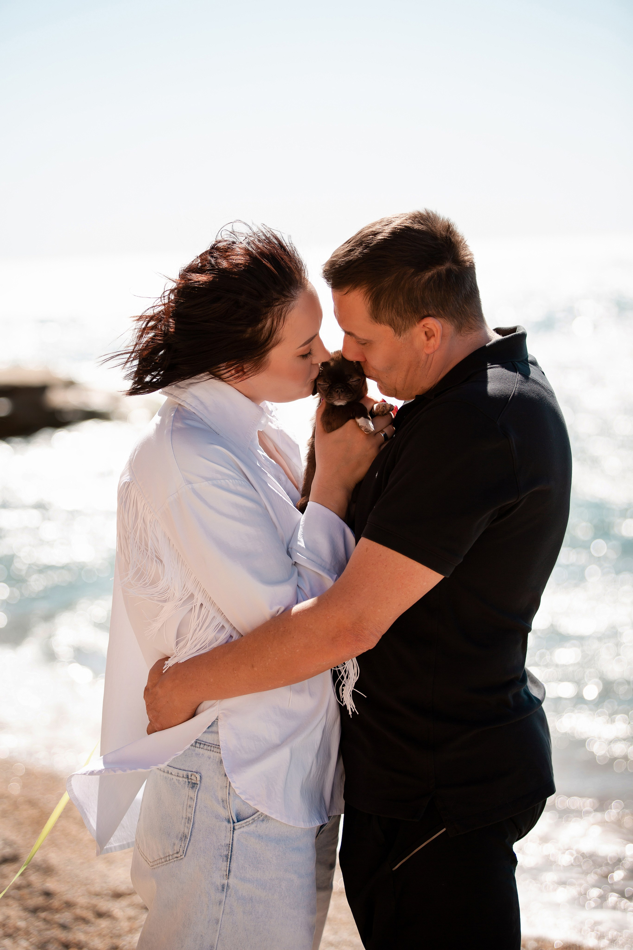 Веймаранер и чихуахуа в Крыму. Фотограф-анималист в Краснодаре Маша Мельникова