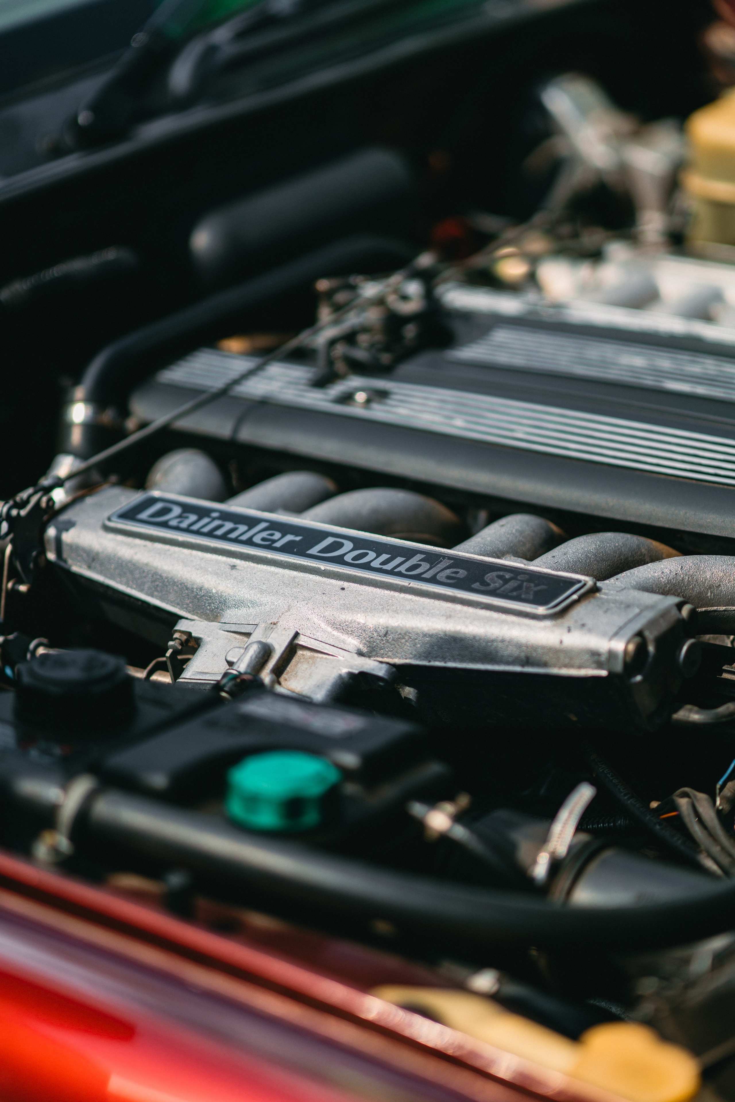 Open season 2025. Жуков Илья  свадебный фотограф в Москве