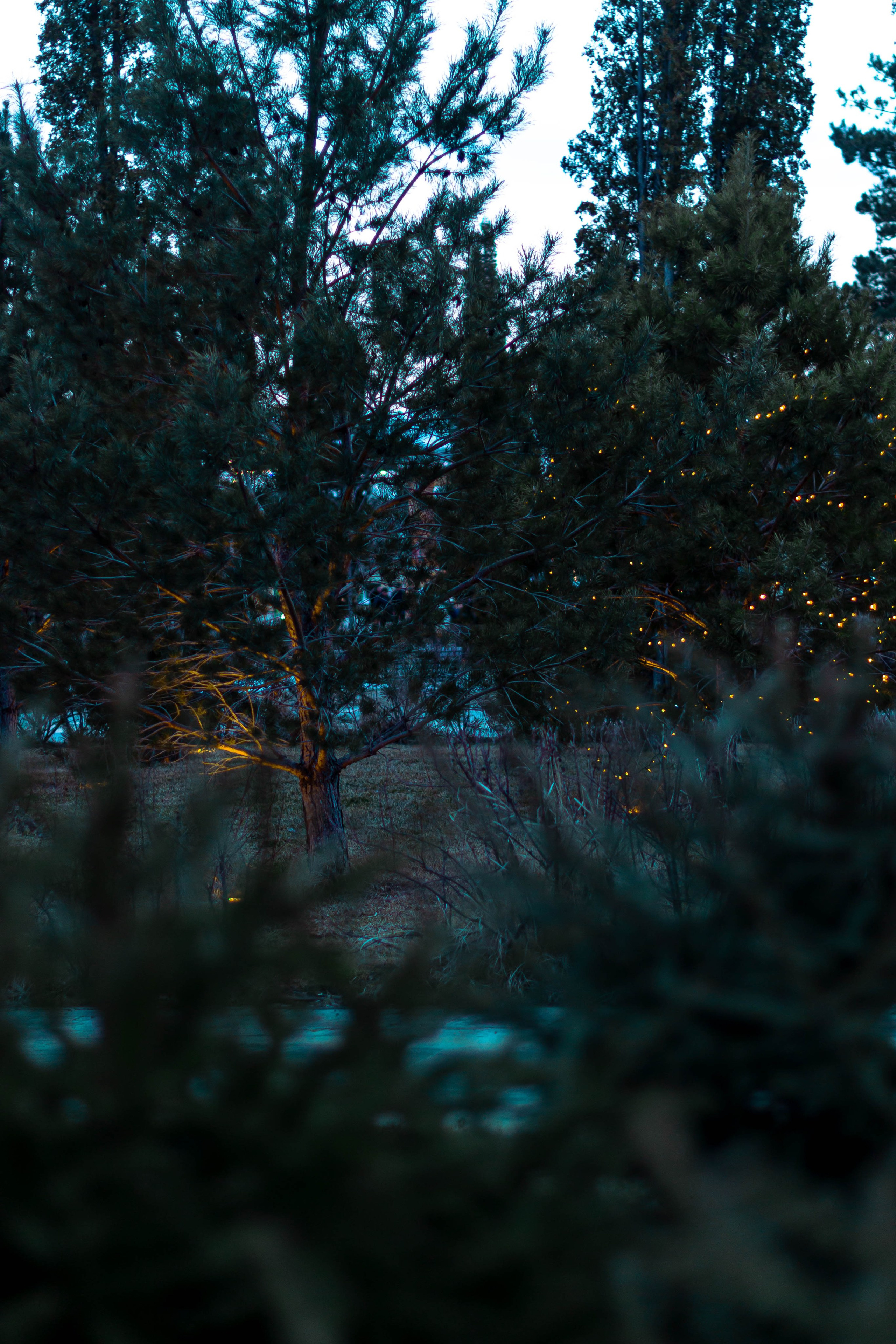 Просто фото. Фотограф в Волгограде (Волжском) Андрей