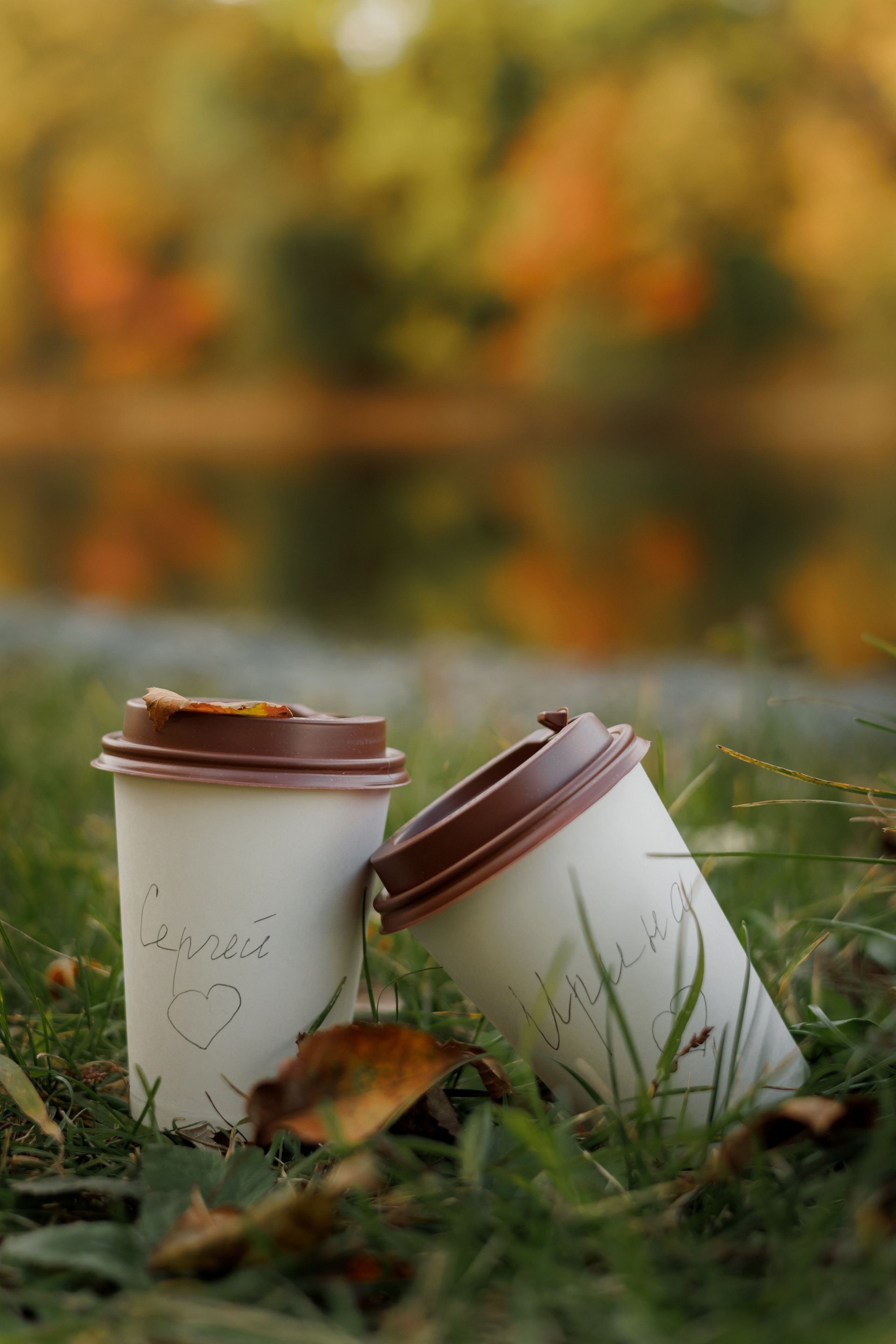 Фотограф биробиджан. Детский и семейный фотограф  Биробиджан Оля Светагор