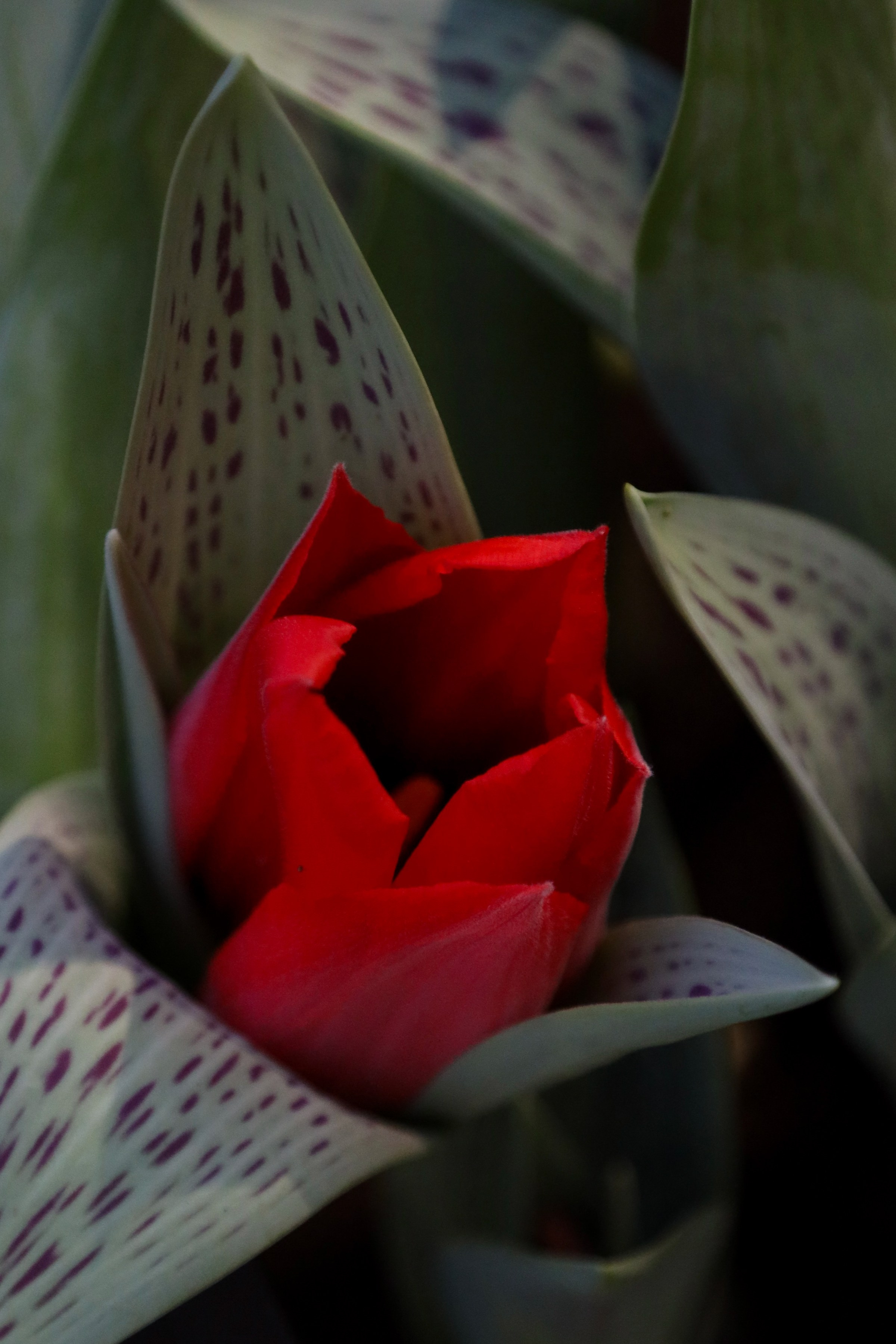 Фотографии с выставки Репетиция весны. Фотосессии и репортаж — Фотограф в Москве — Рина Серёгина