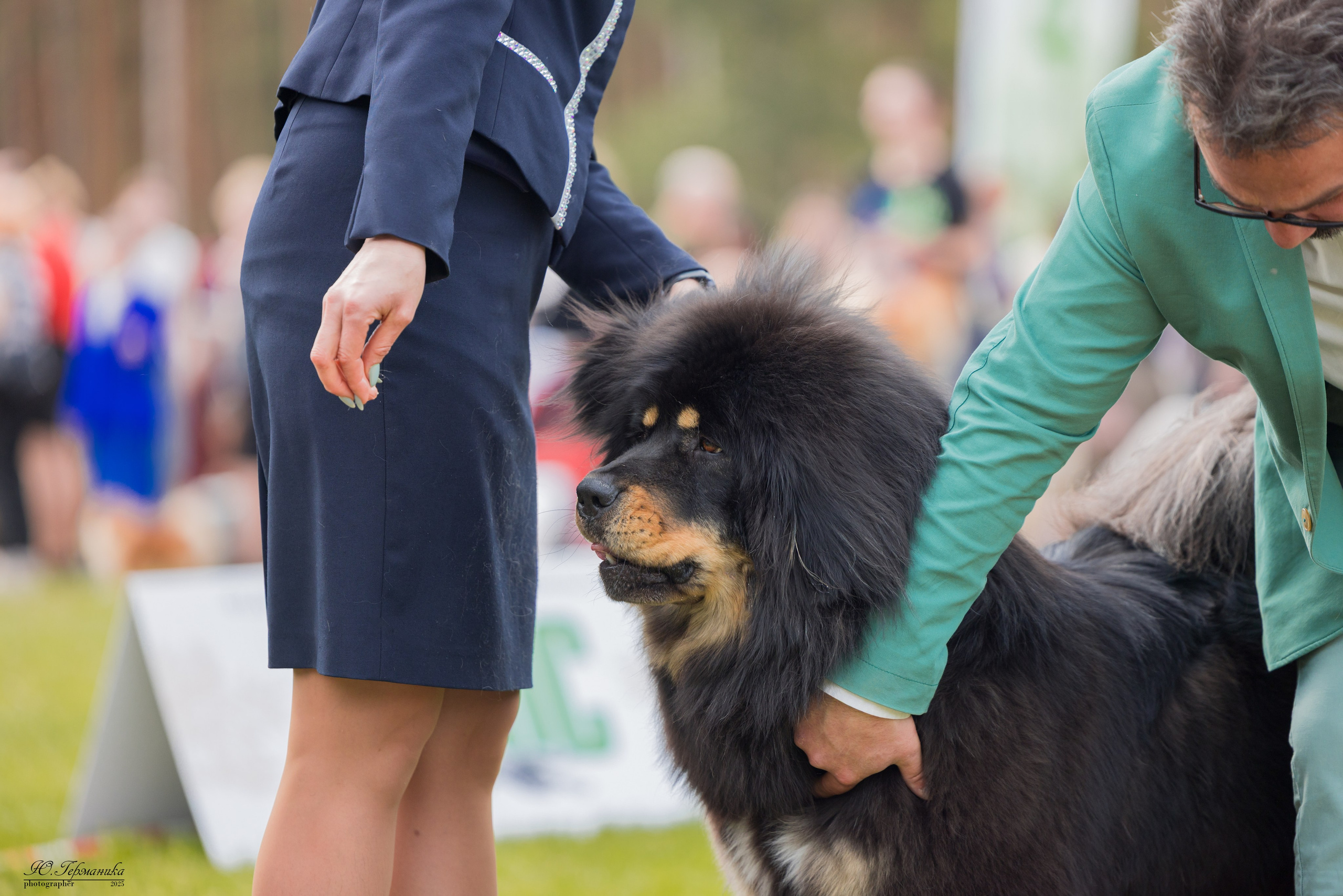 Суздаль(Владимир)17-18.05.2025. Фотограф-анималист Юлия Германика