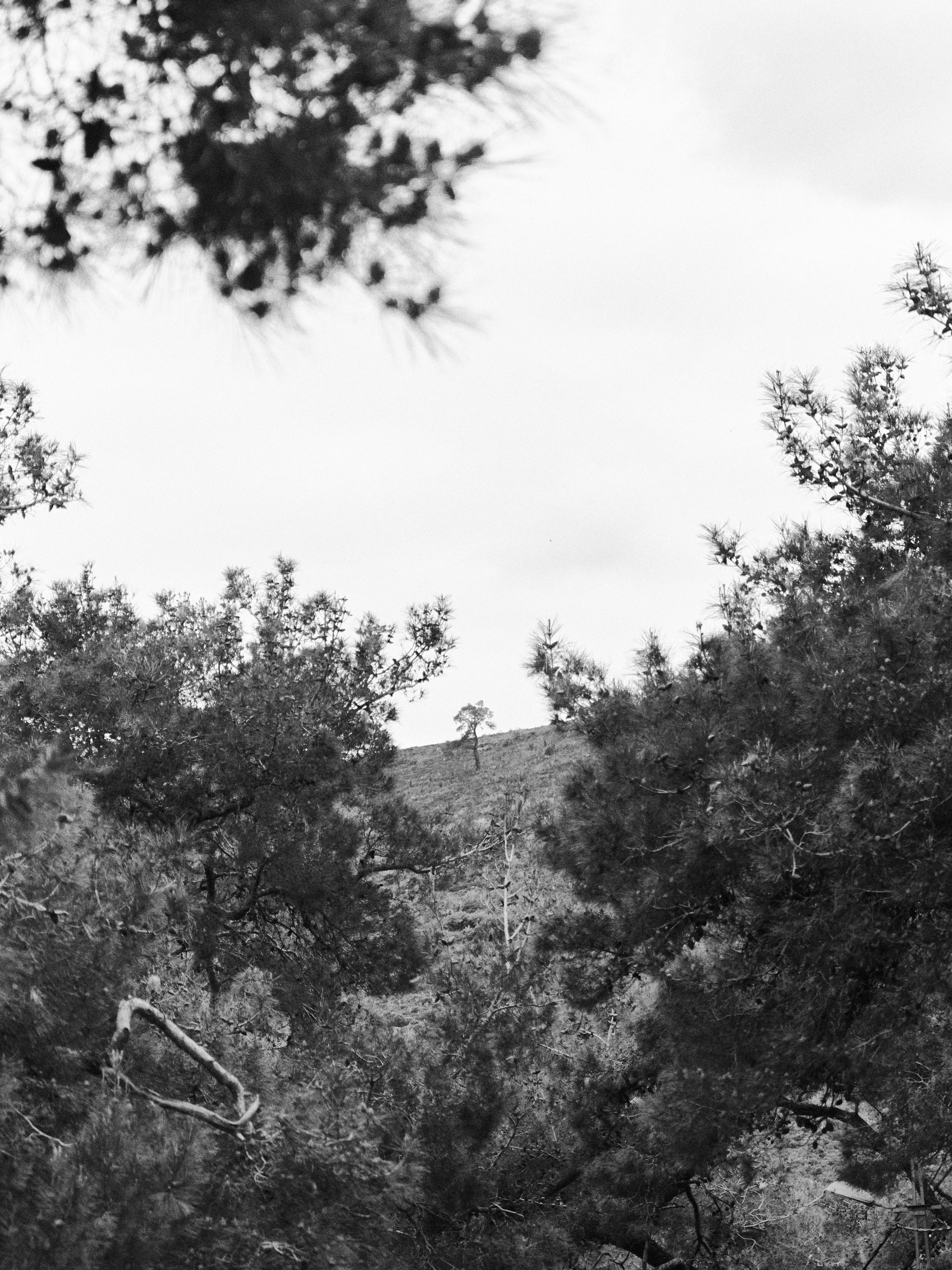 B&W. Jorgis — фотограф в Хургаде / обучение фотографии