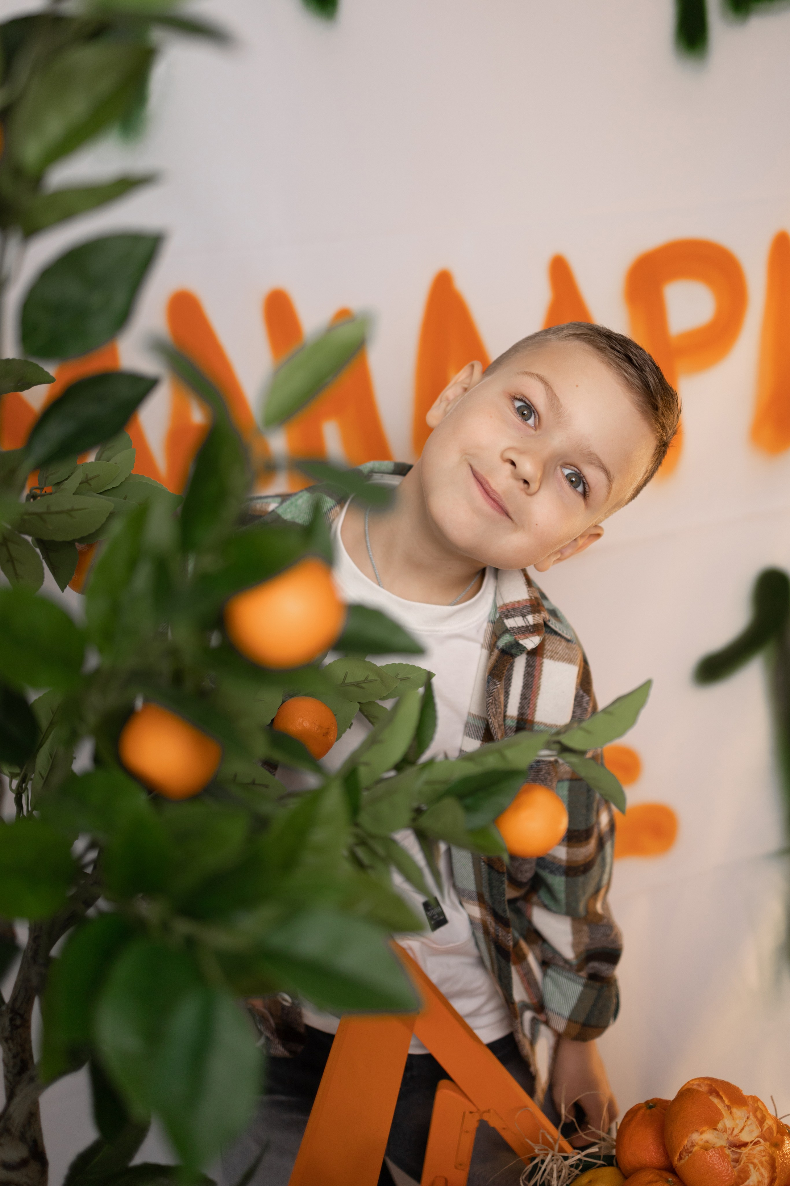 Марк и мандарины. Главная