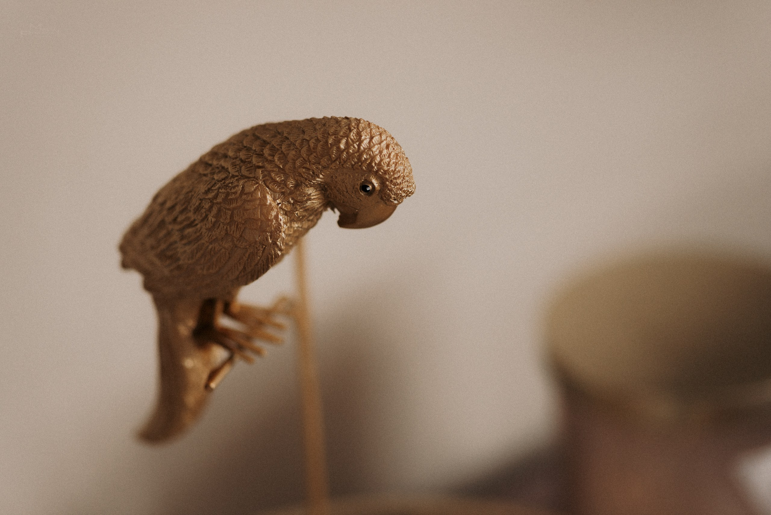 Serg + Anna. Фотограф/видеомейкер в Минске, Москве, Витебске, видеосьемка