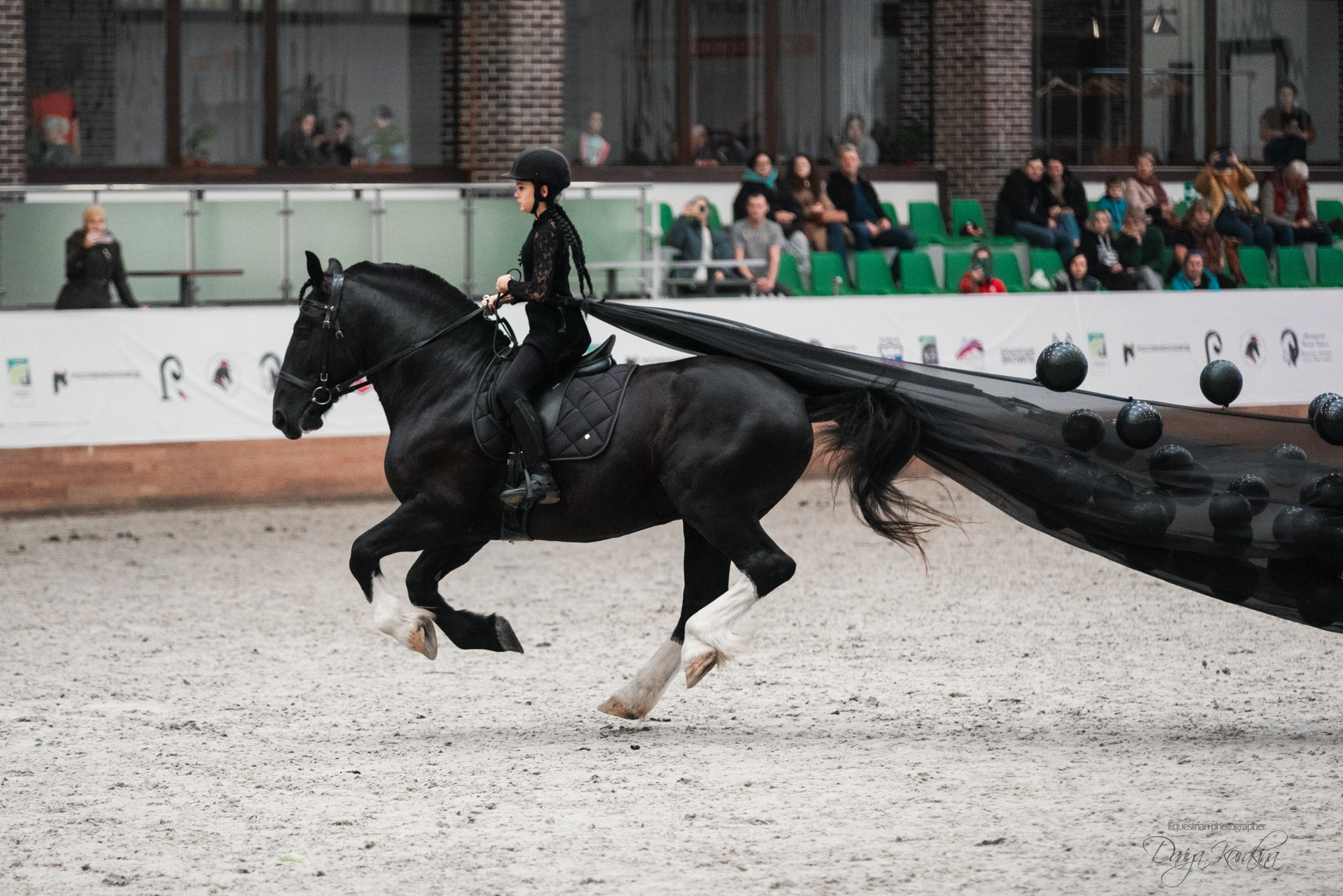 8-я международная выставка Конная Россия. Конный фотограф Куракина Дарья • Фотосессии с лошадьми