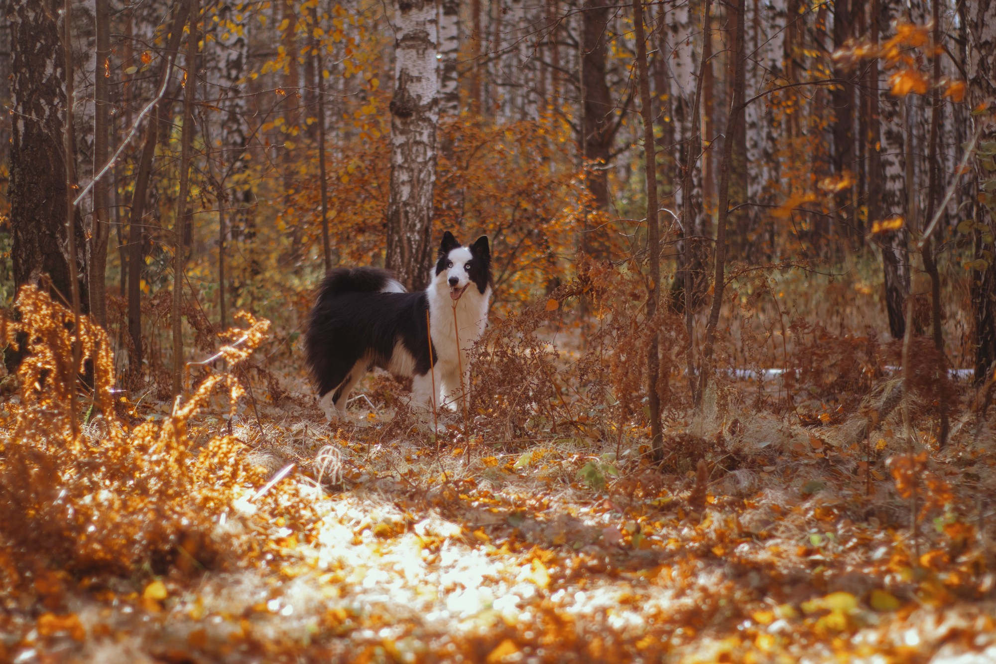 Ликёр. Фотограф в Тюмени Лизавета Сапицкая