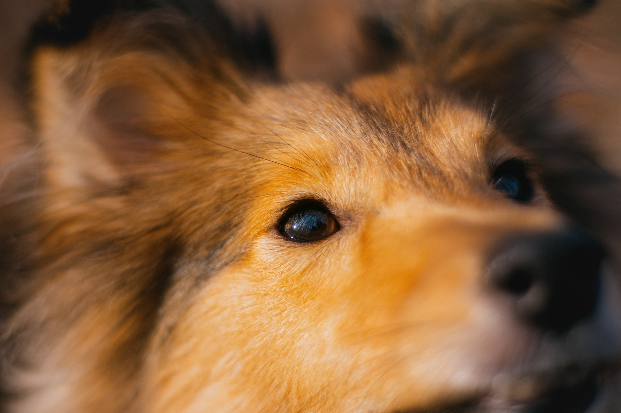Анна и Габи. Фотограф в Тюмени Лизавета Сапицкая