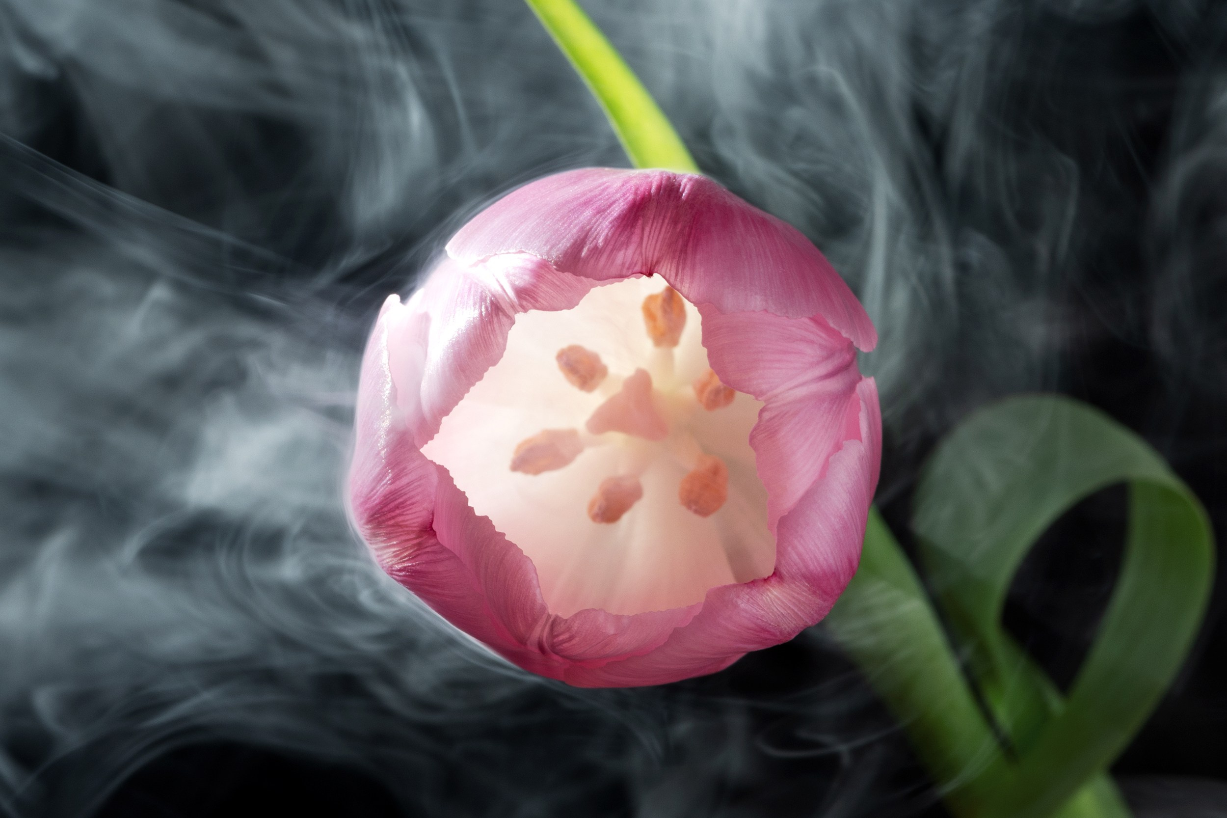 About me. Author’s fine art prints with international delivery